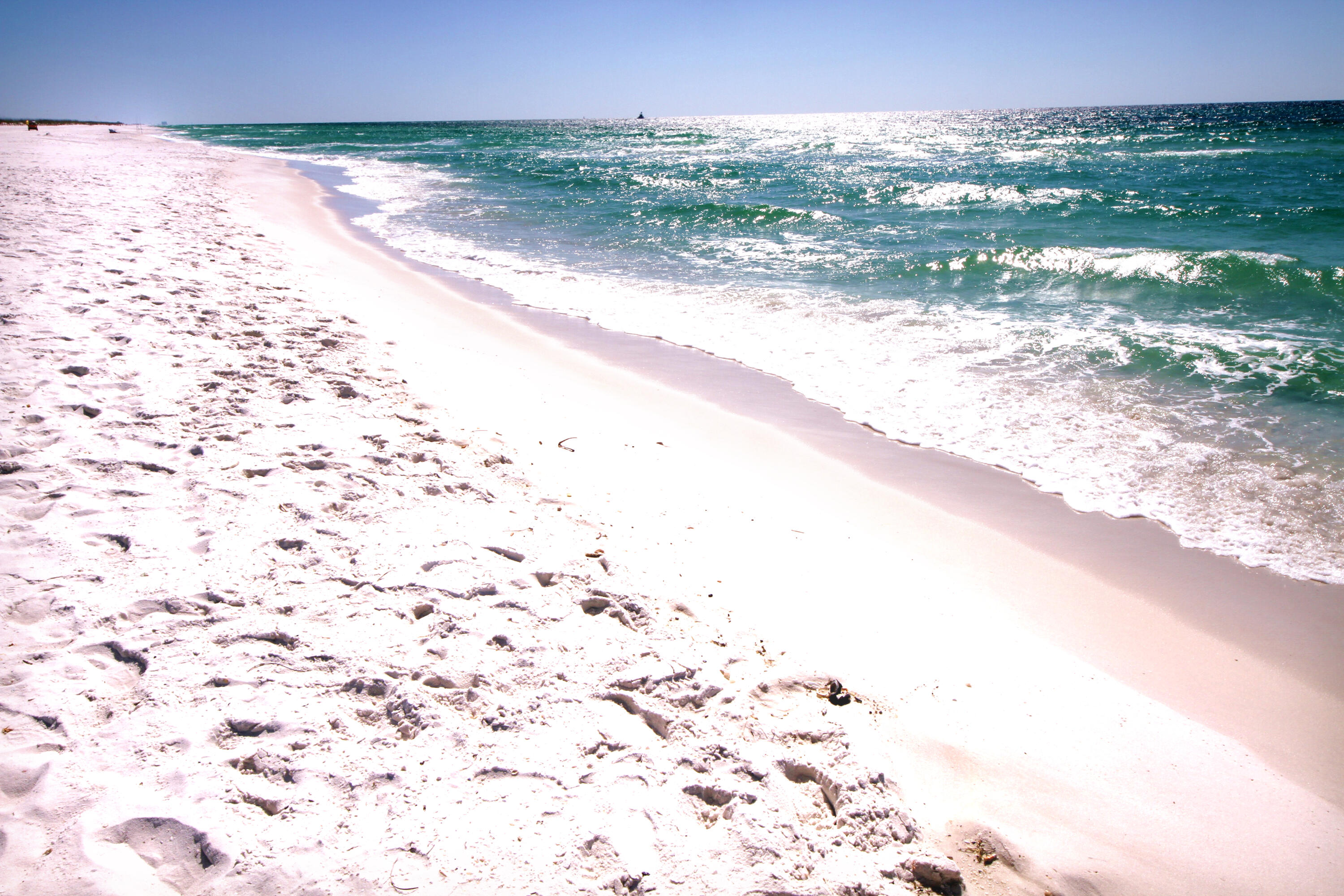 9850 S Thomas Drive, UNIT 1206E