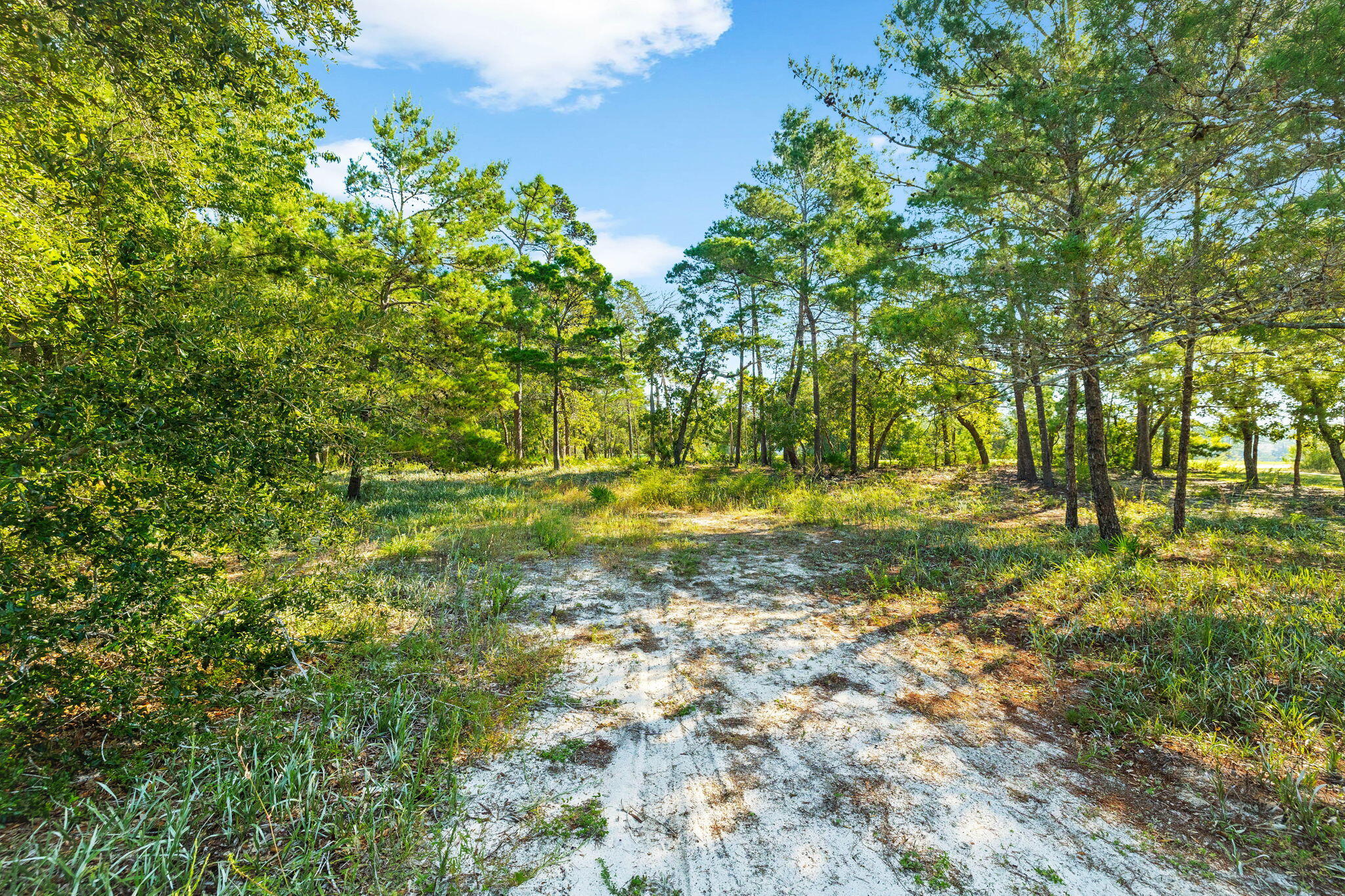 1420 Turtleback Trail