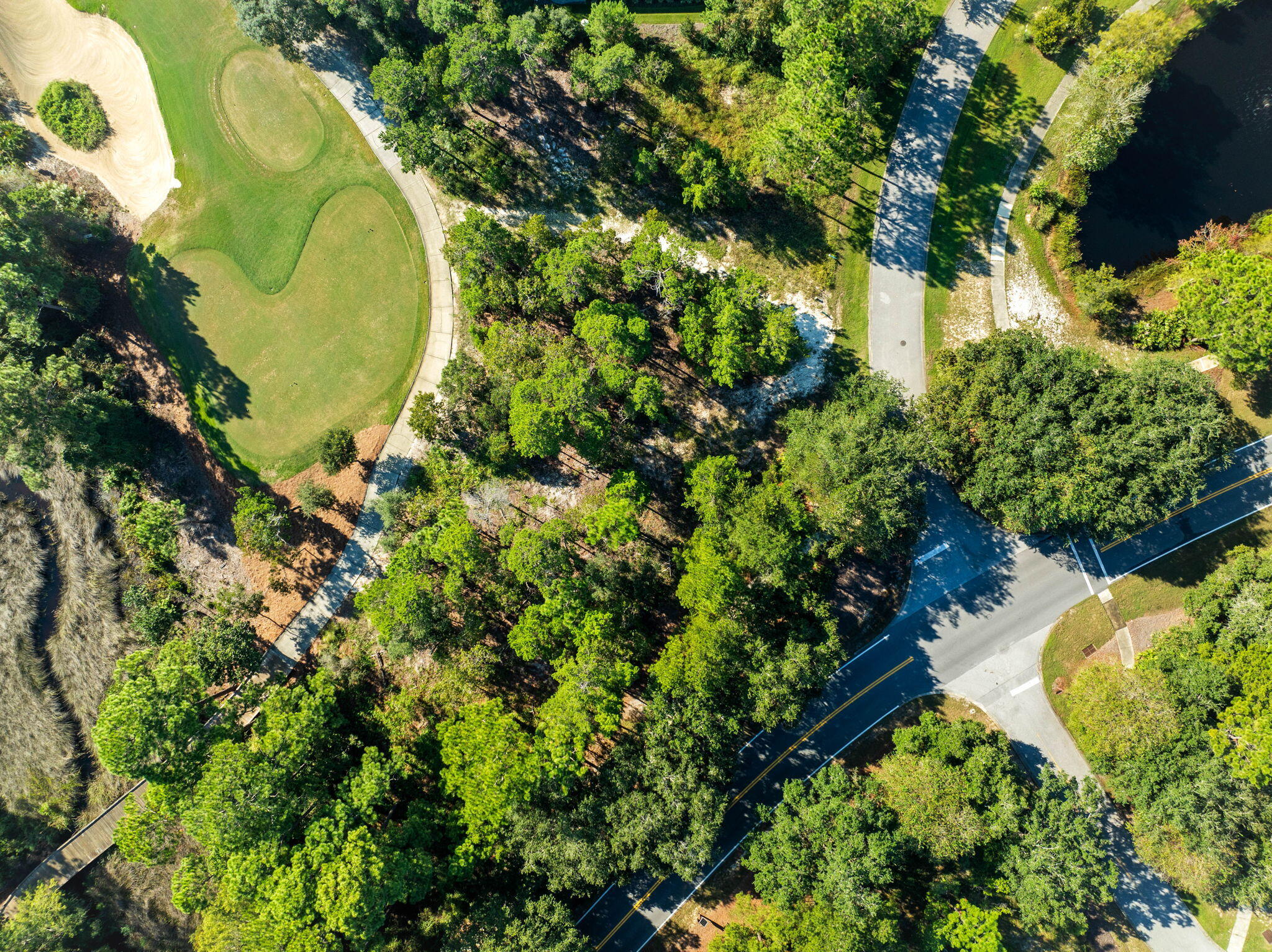 1420 Turtleback Trail