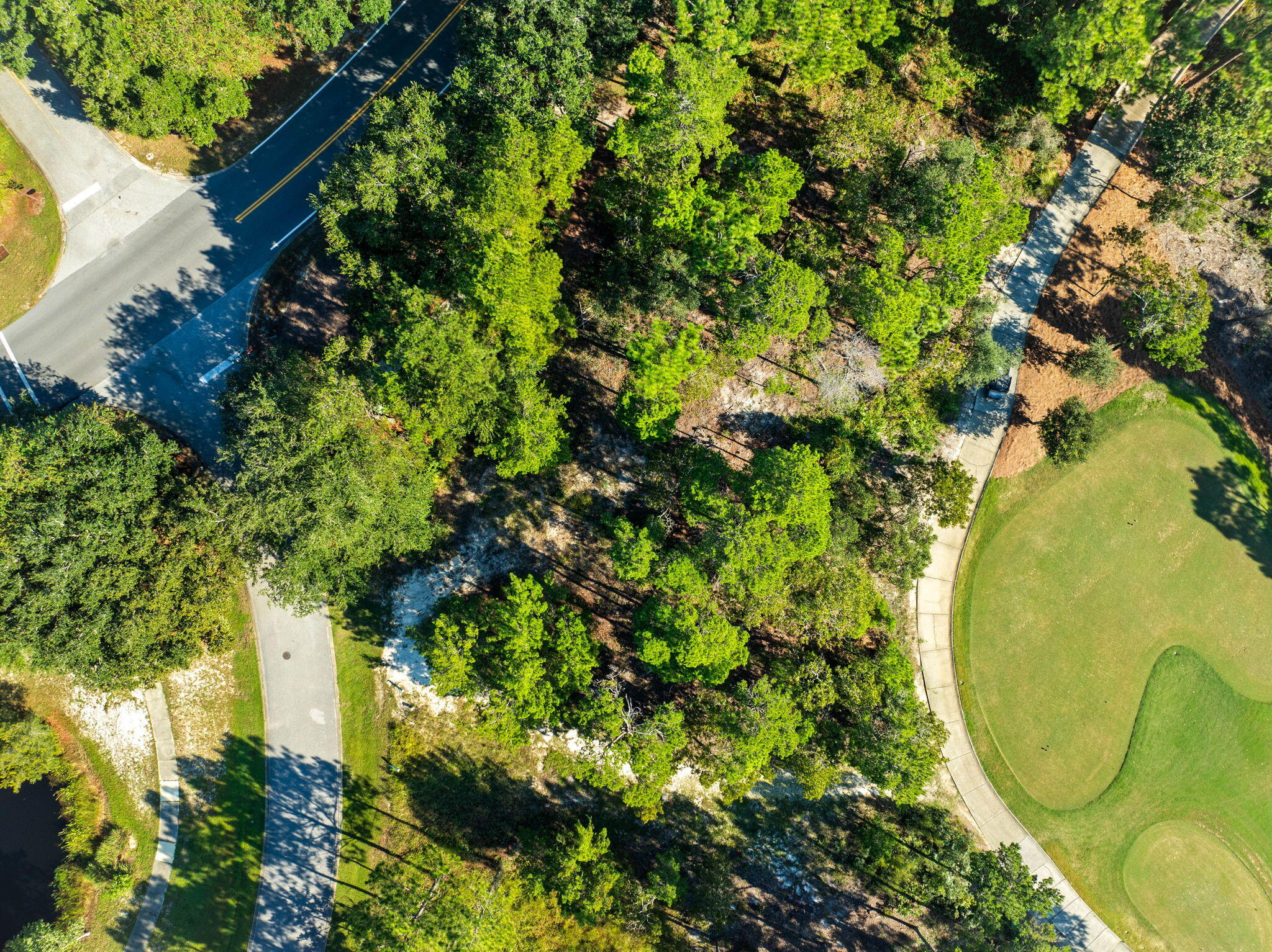 1420 Turtleback Trail