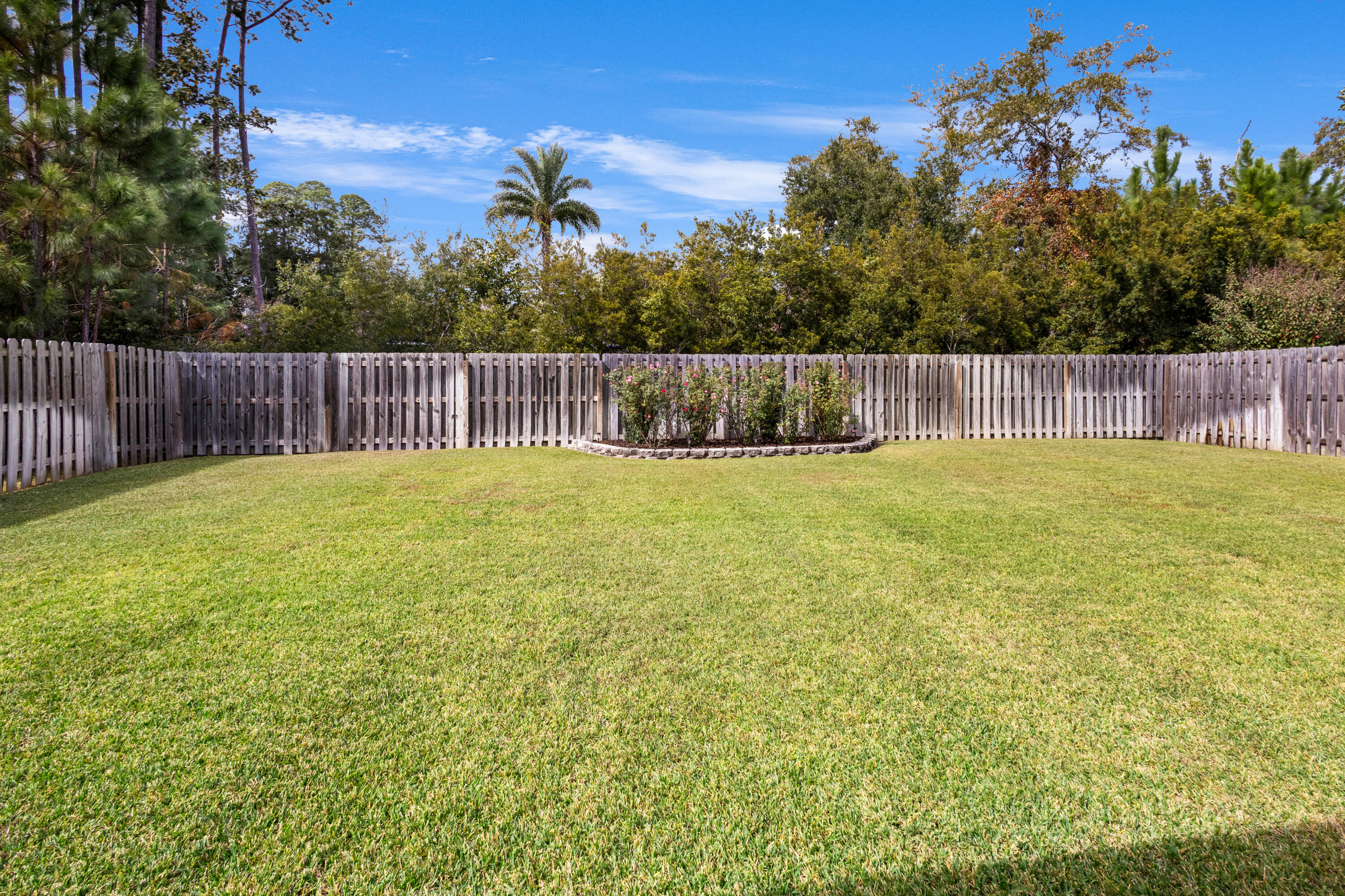 576 Cocobolo Drive