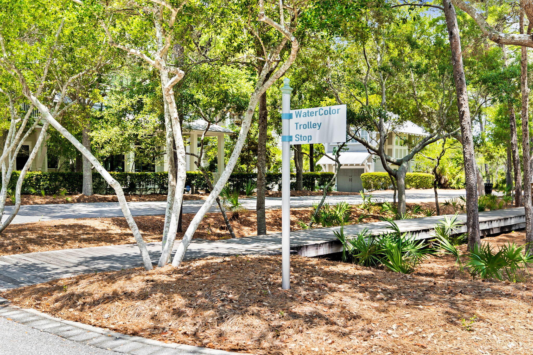 88 Spartina Circle Circle