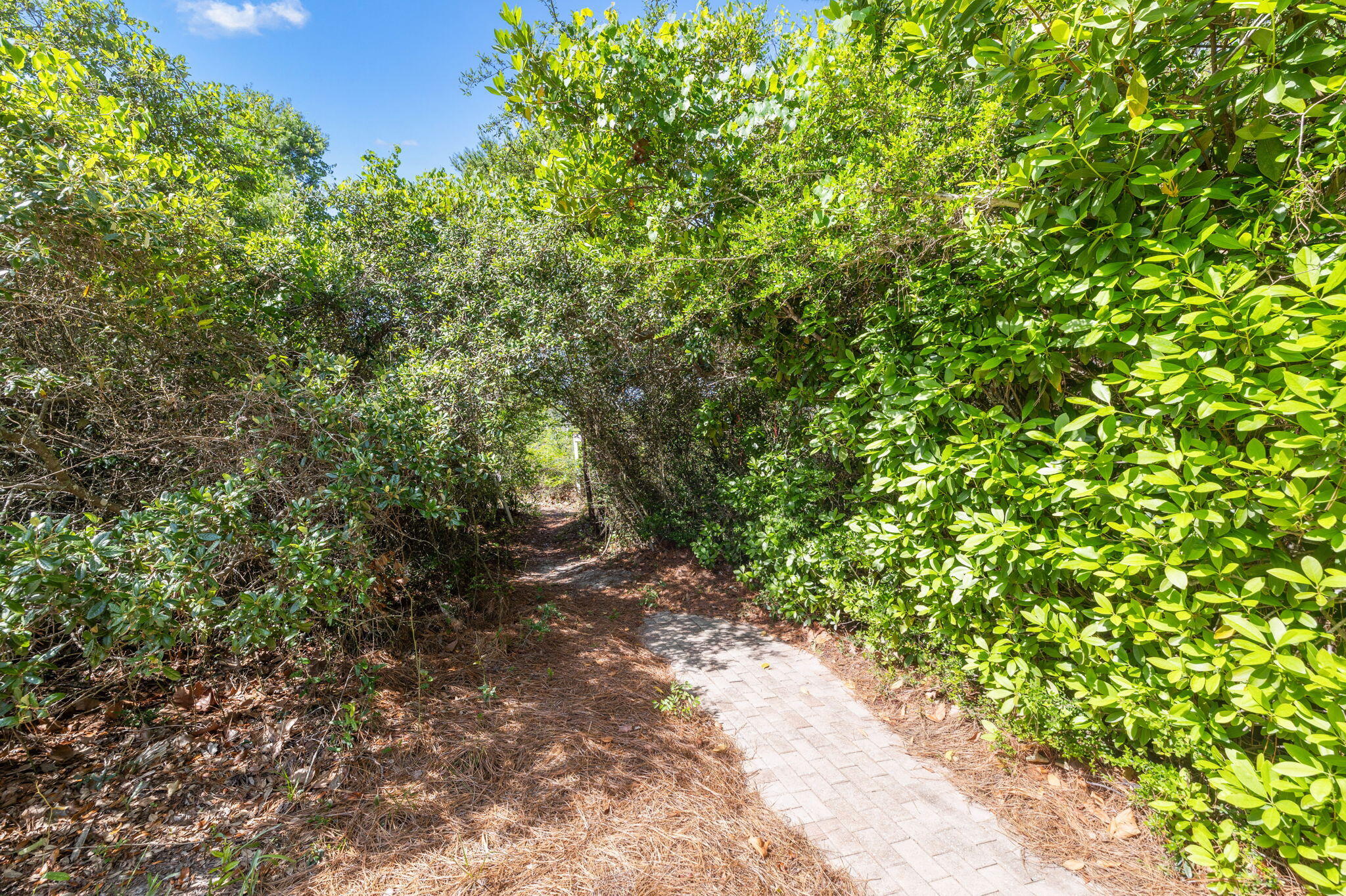 119 Sand Oaks Circle