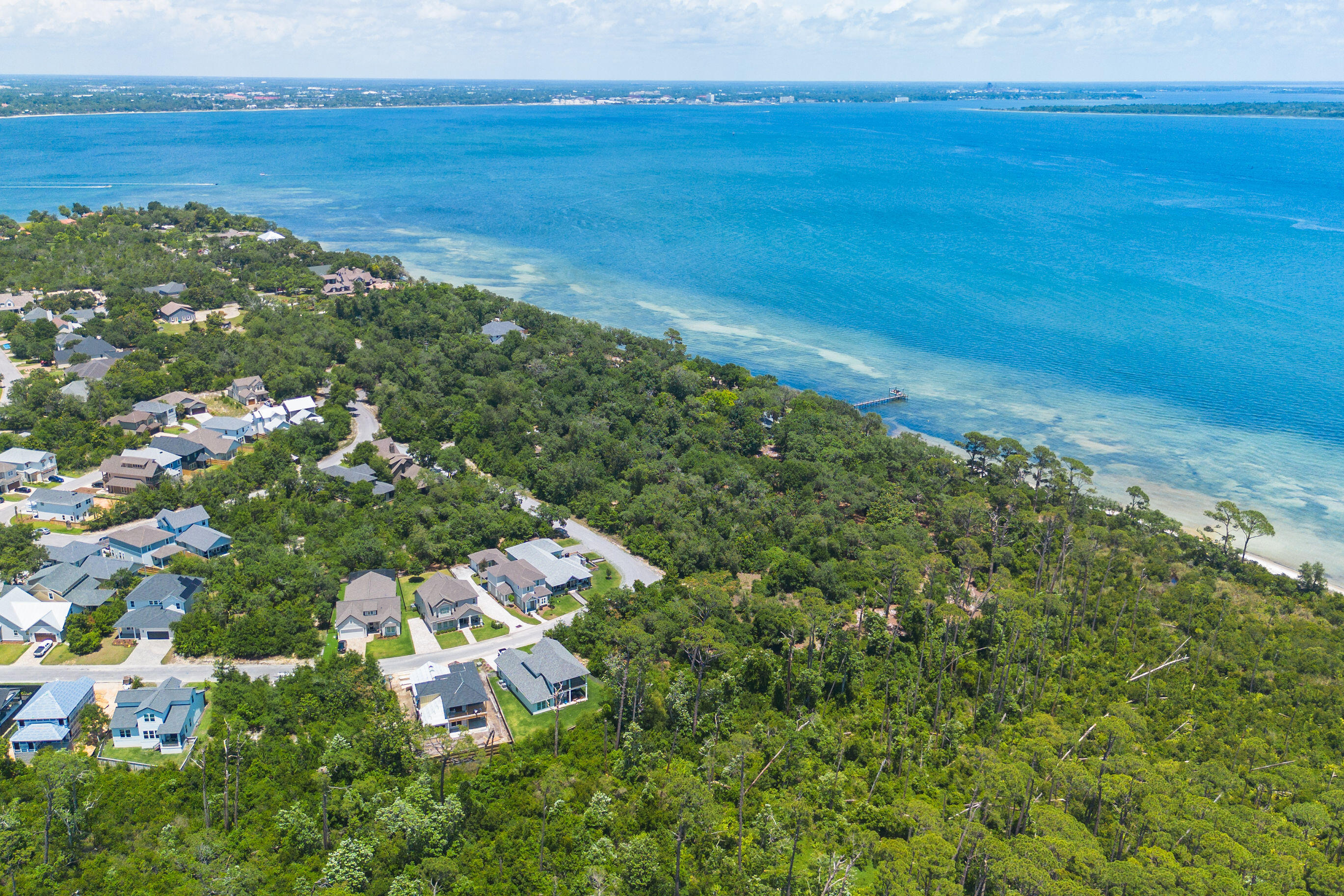 3913 Magnolia Bluff Lane
