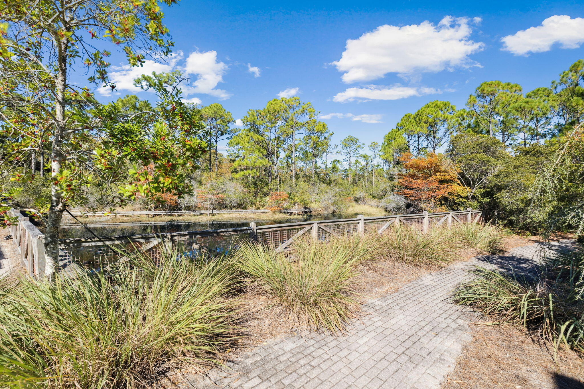 649 Sandgrass Boulevard