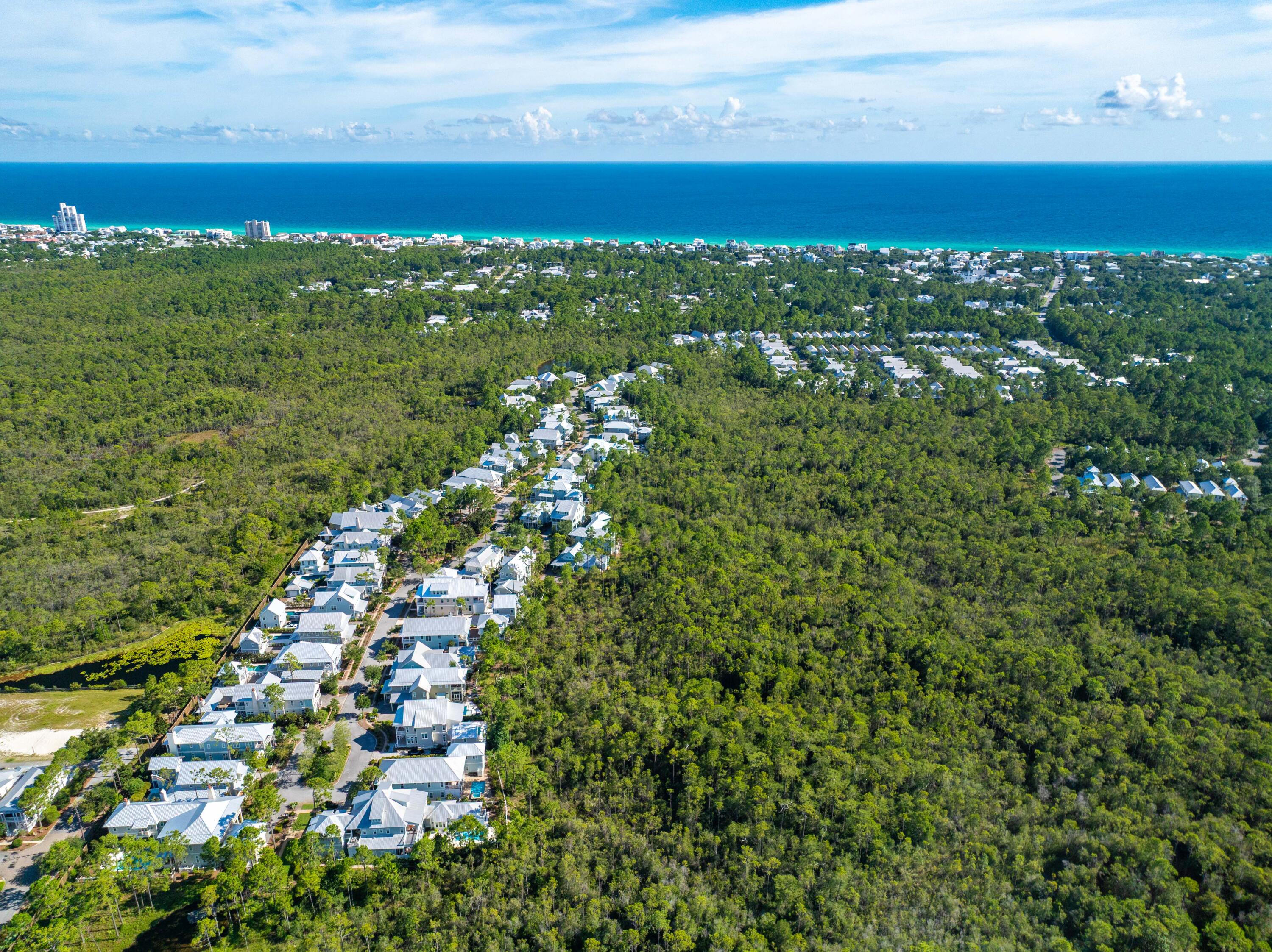 655 E Royal Fern Way