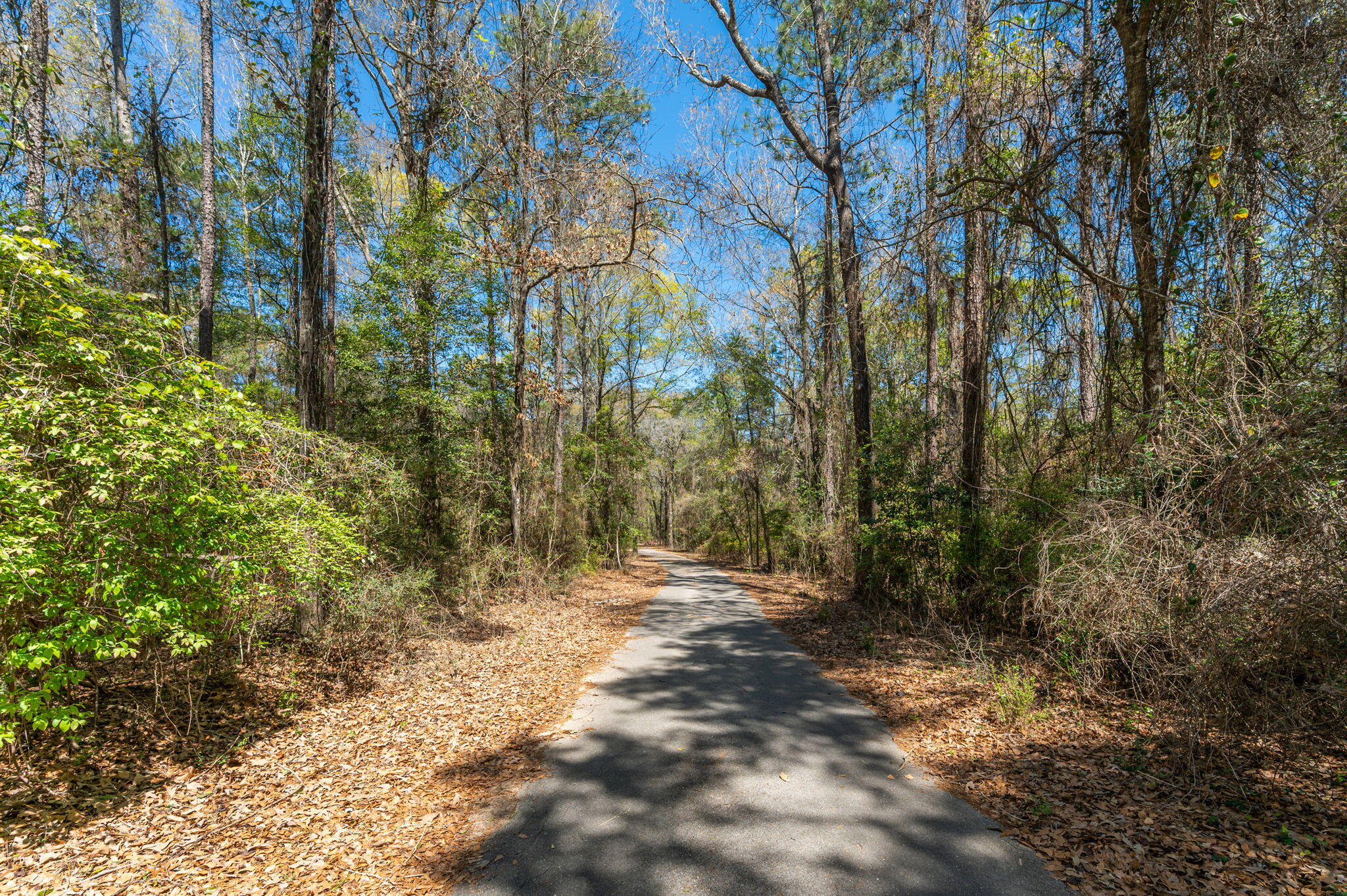 2787 Lake Silver Road