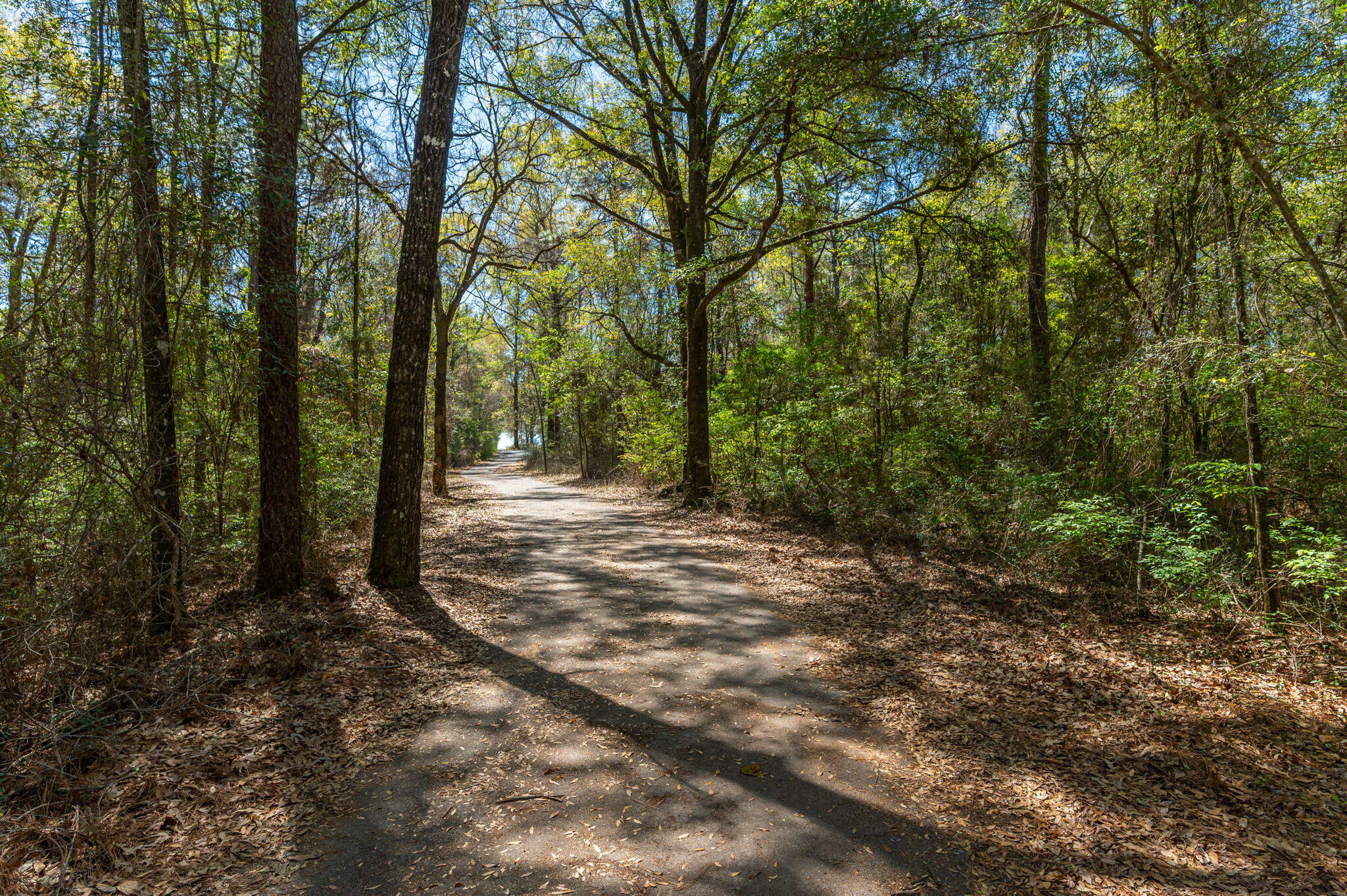 2787 Lake Silver Road
