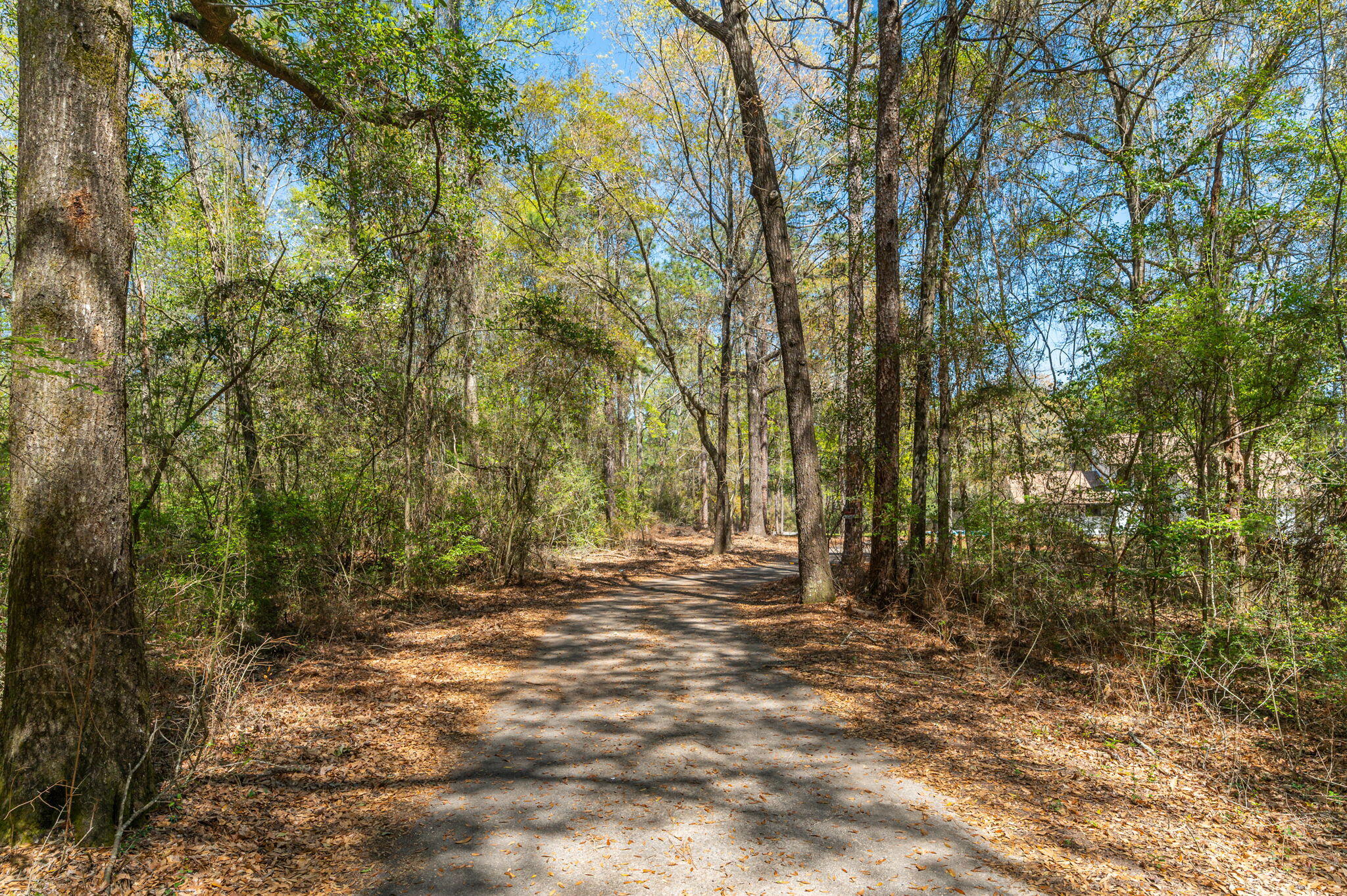 2787 Lake Silver Road