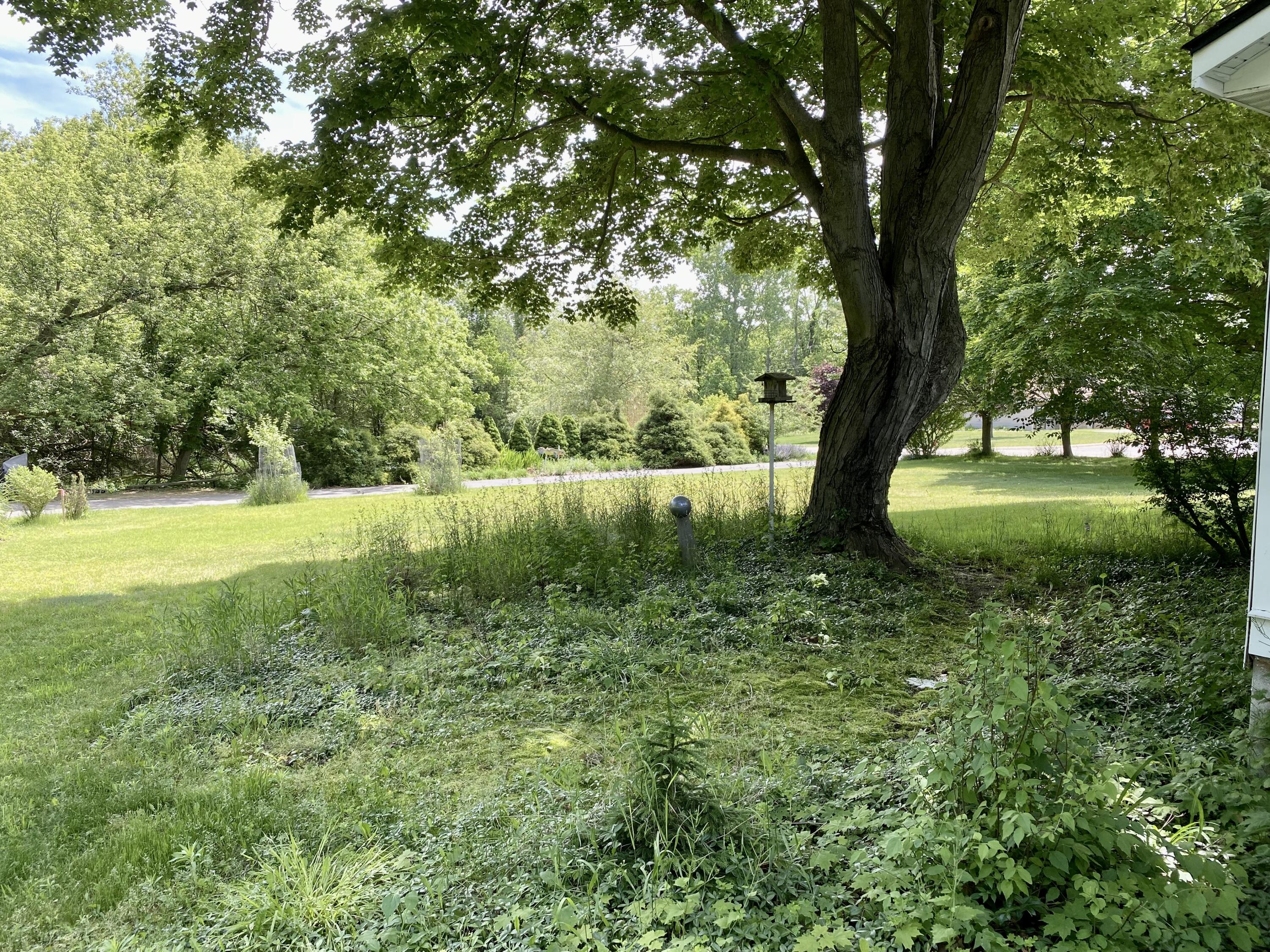 78 W Wiley Road