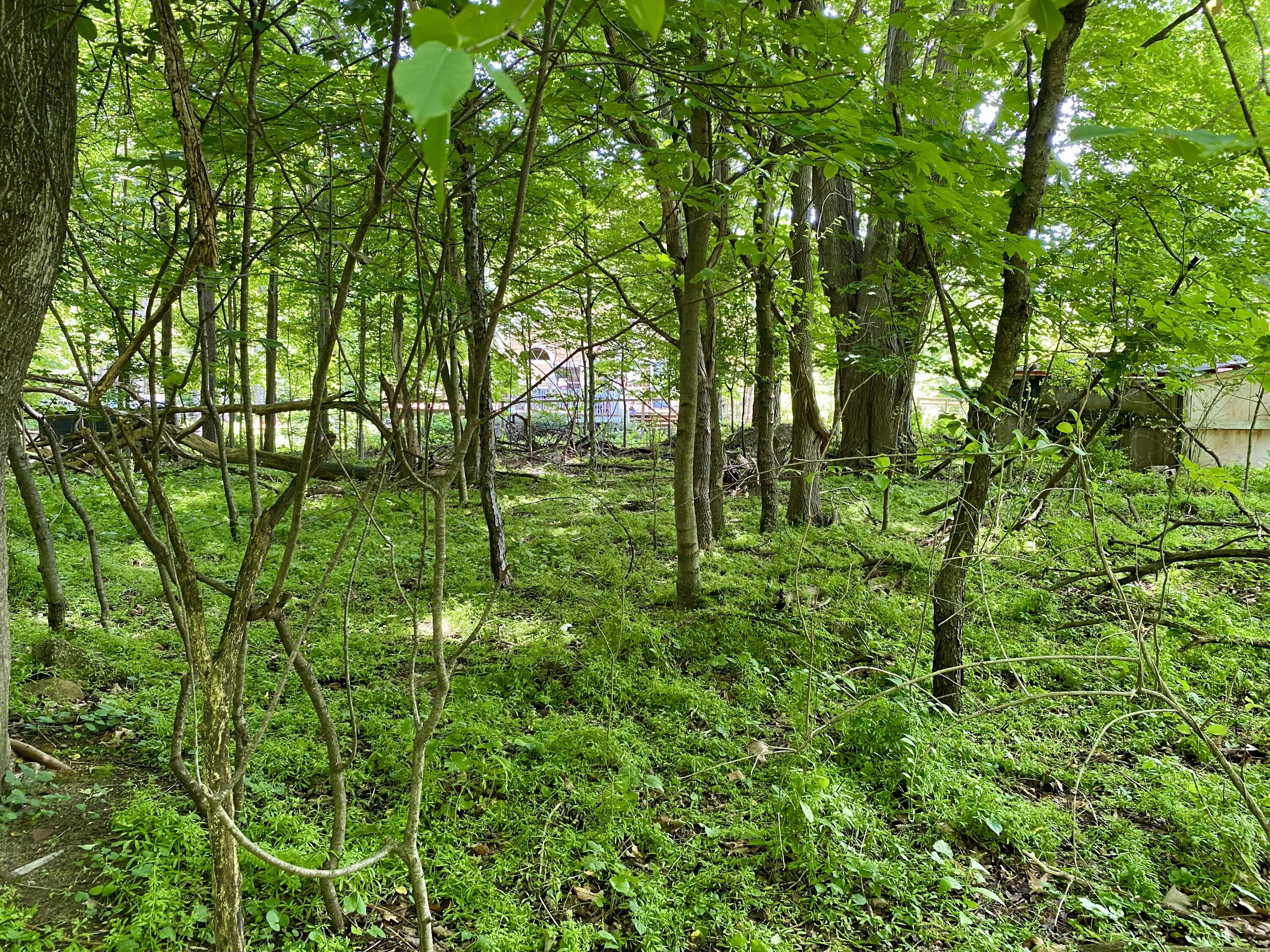 78 W Wiley Road