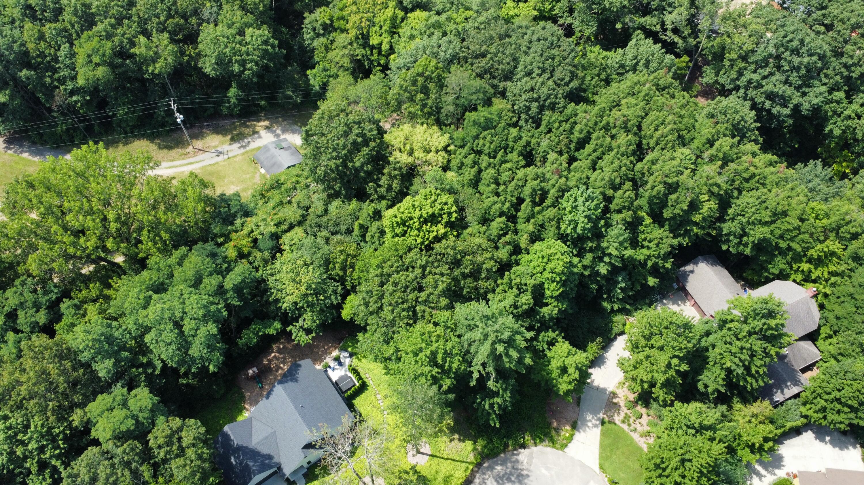 977 Ridgeview Lane