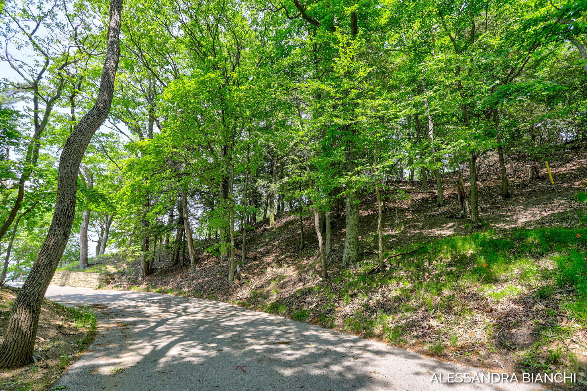 225 Dunegrass Ridge Drive
