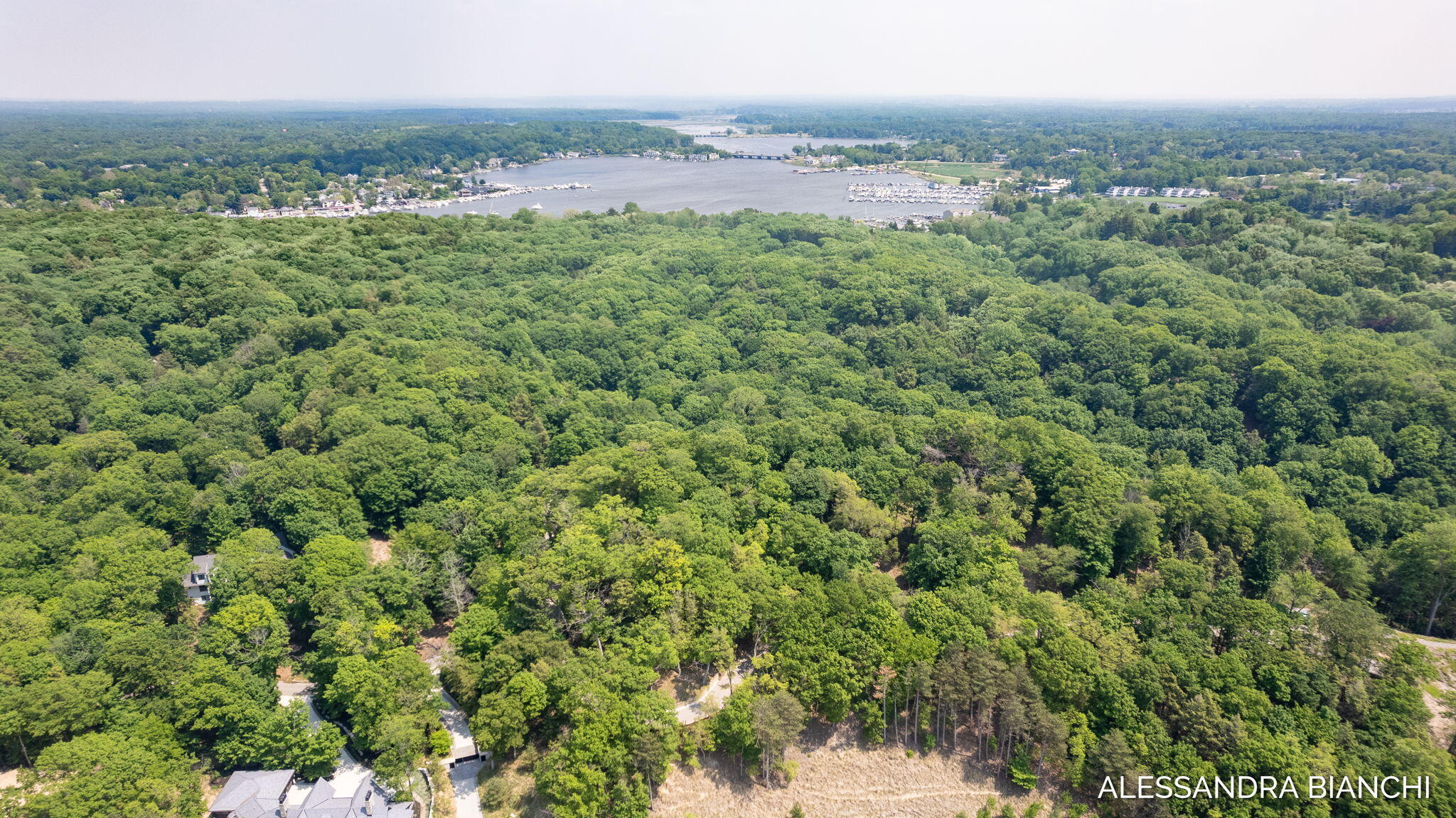 225 Dunegrass Ridge Drive