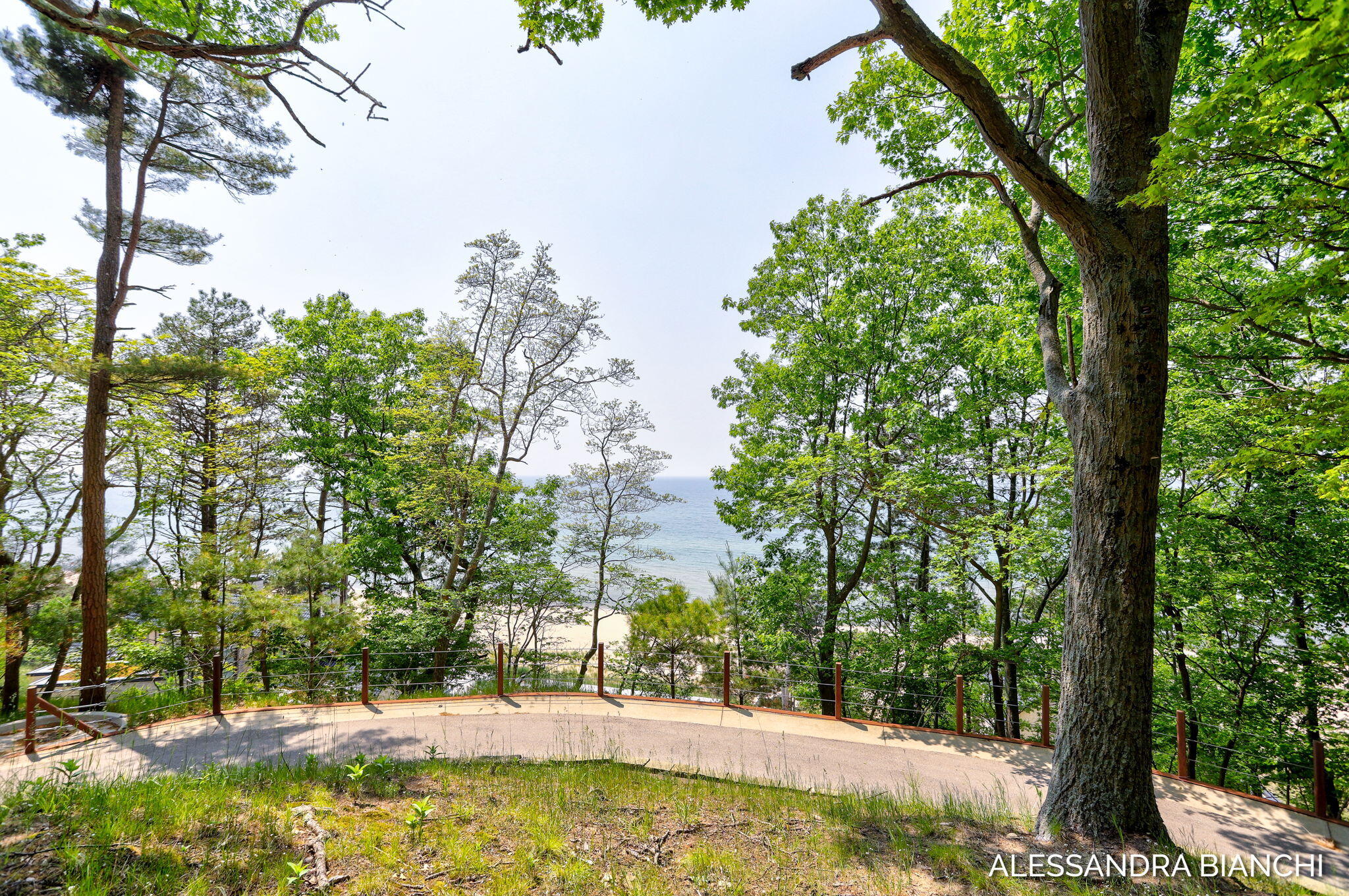 225 Dunegrass Ridge Drive