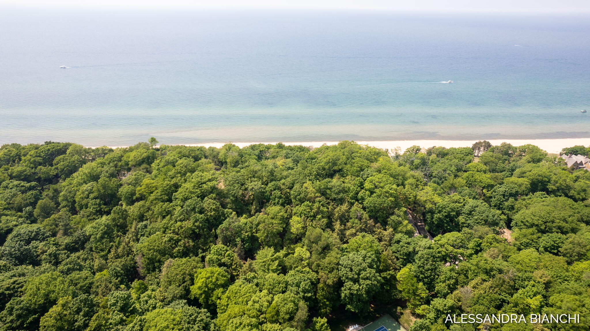 225 Dunegrass Ridge Drive