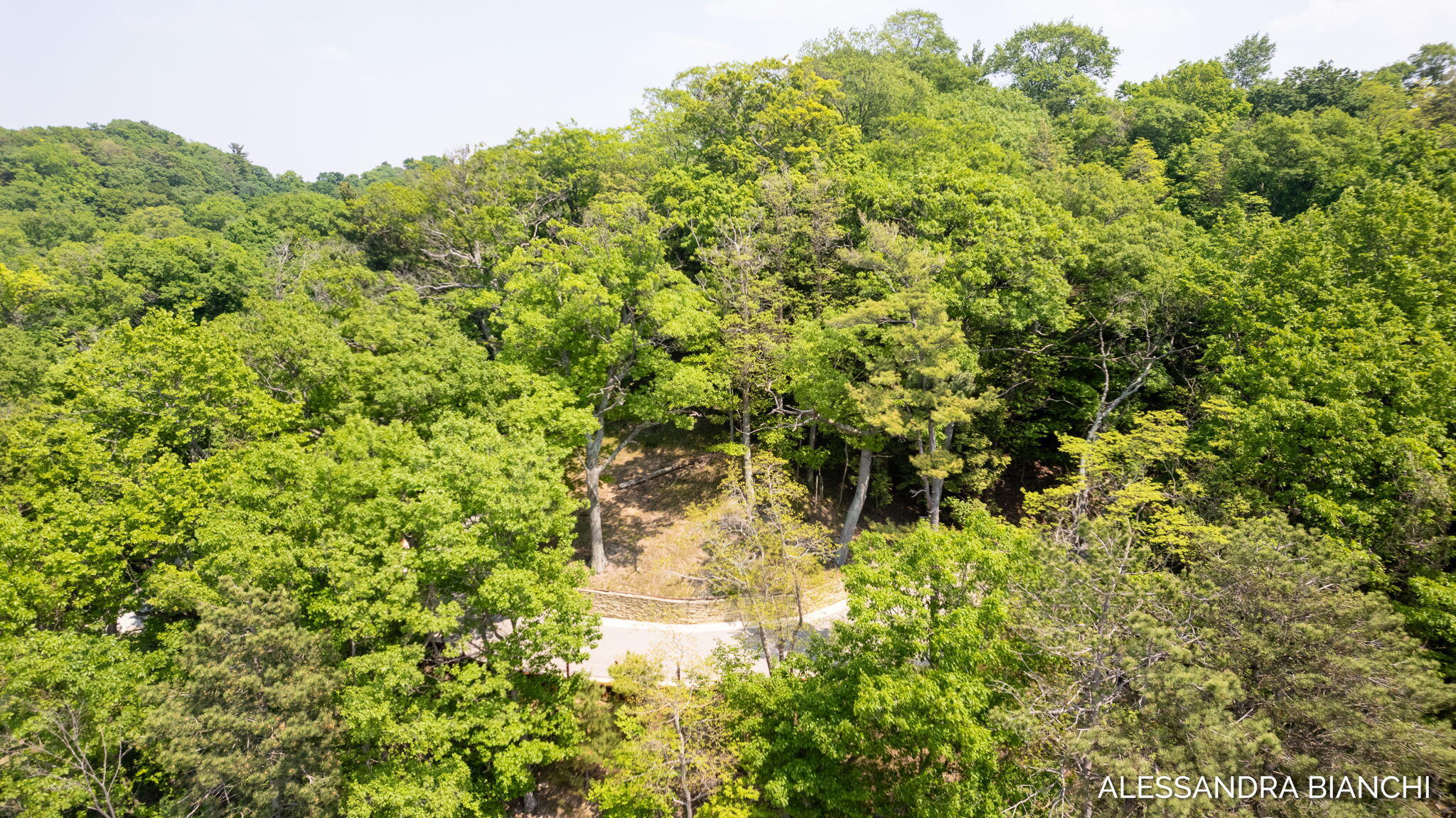 225 Dunegrass Ridge Drive