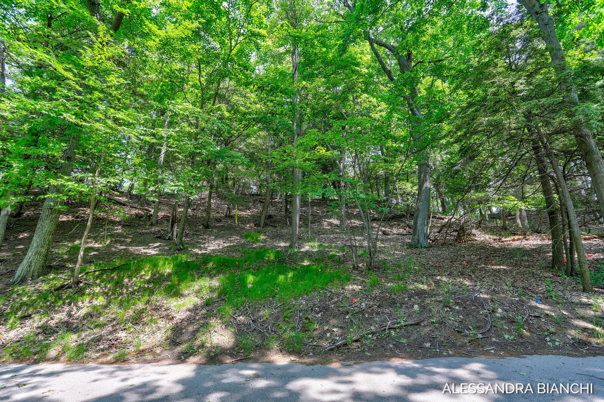 225 Dunegrass Ridge Drive