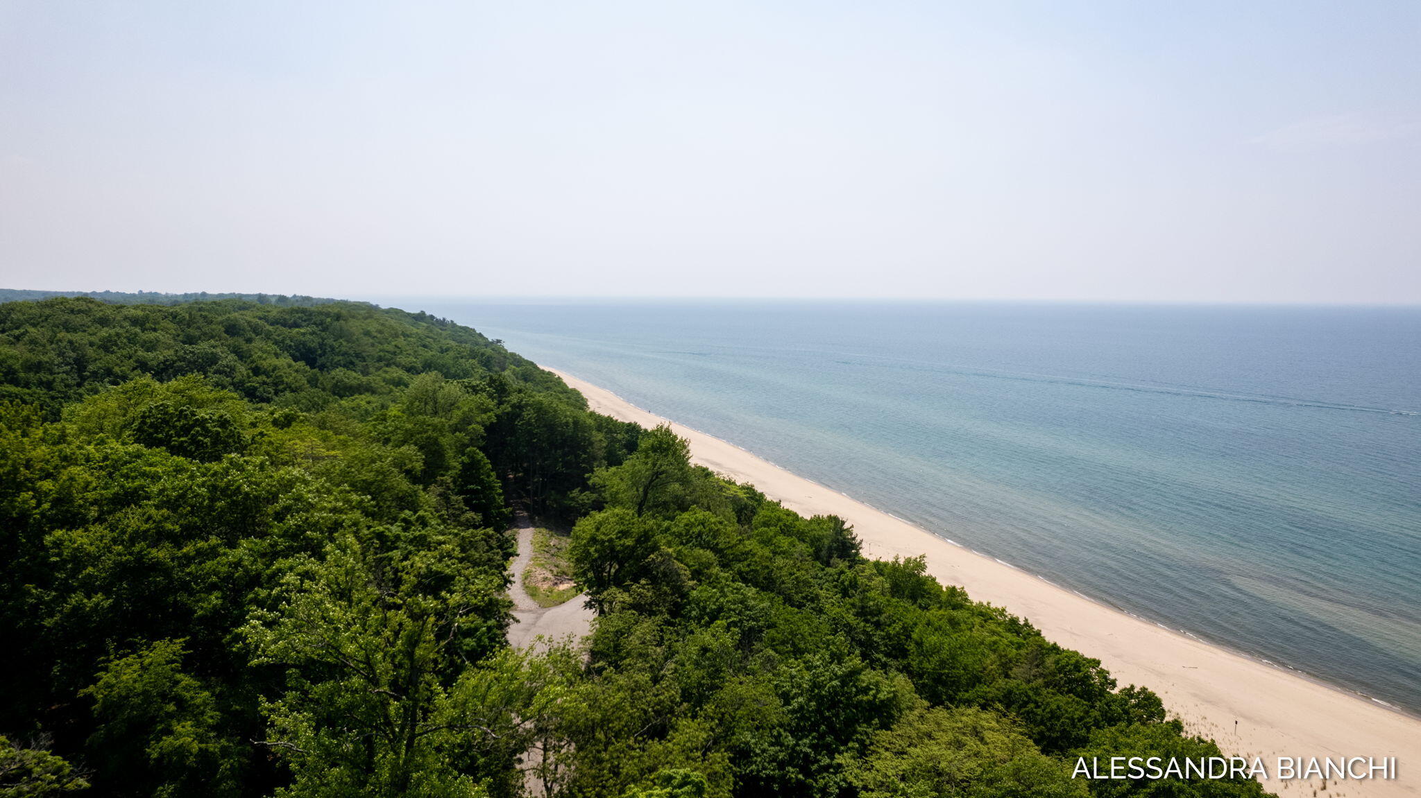 225 Dunegrass Ridge Drive