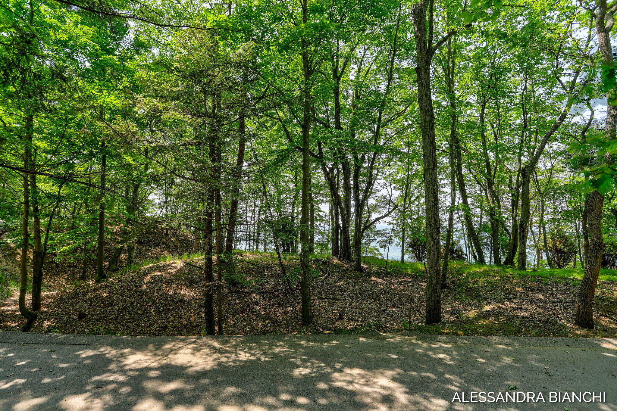 225 Dunegrass Ridge Drive