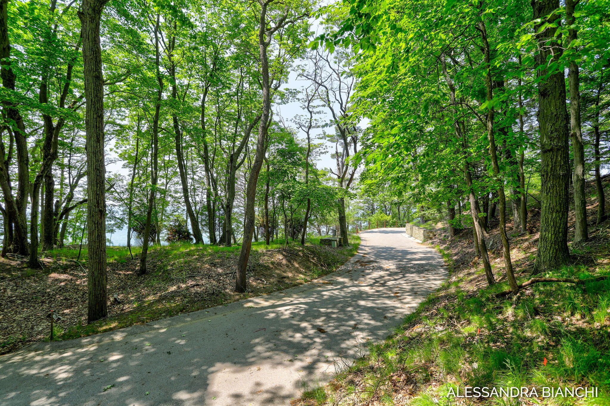 225 Dunegrass Ridge Drive