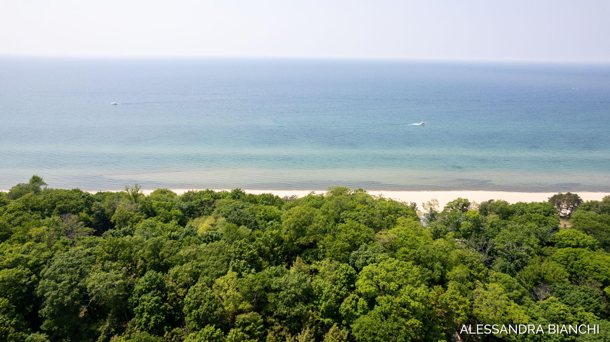 225 Dunegrass Ridge Drive