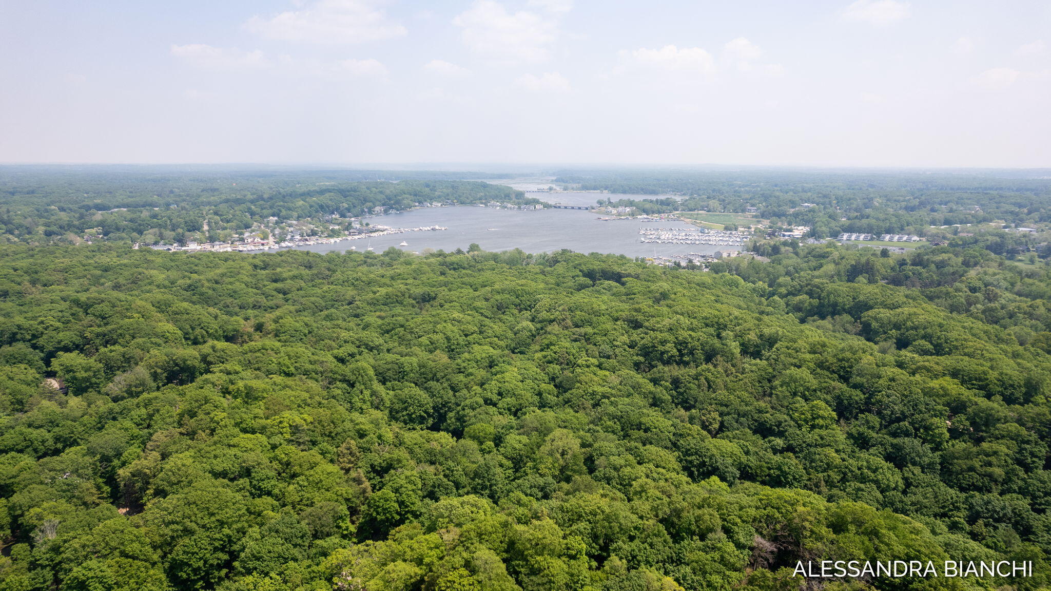 225 Dunegrass Ridge Drive