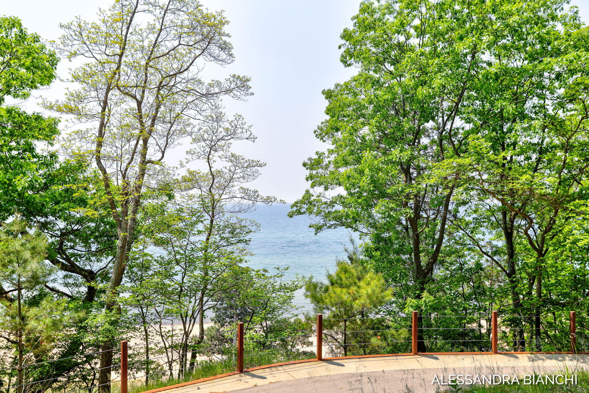 225 Dunegrass Ridge Drive