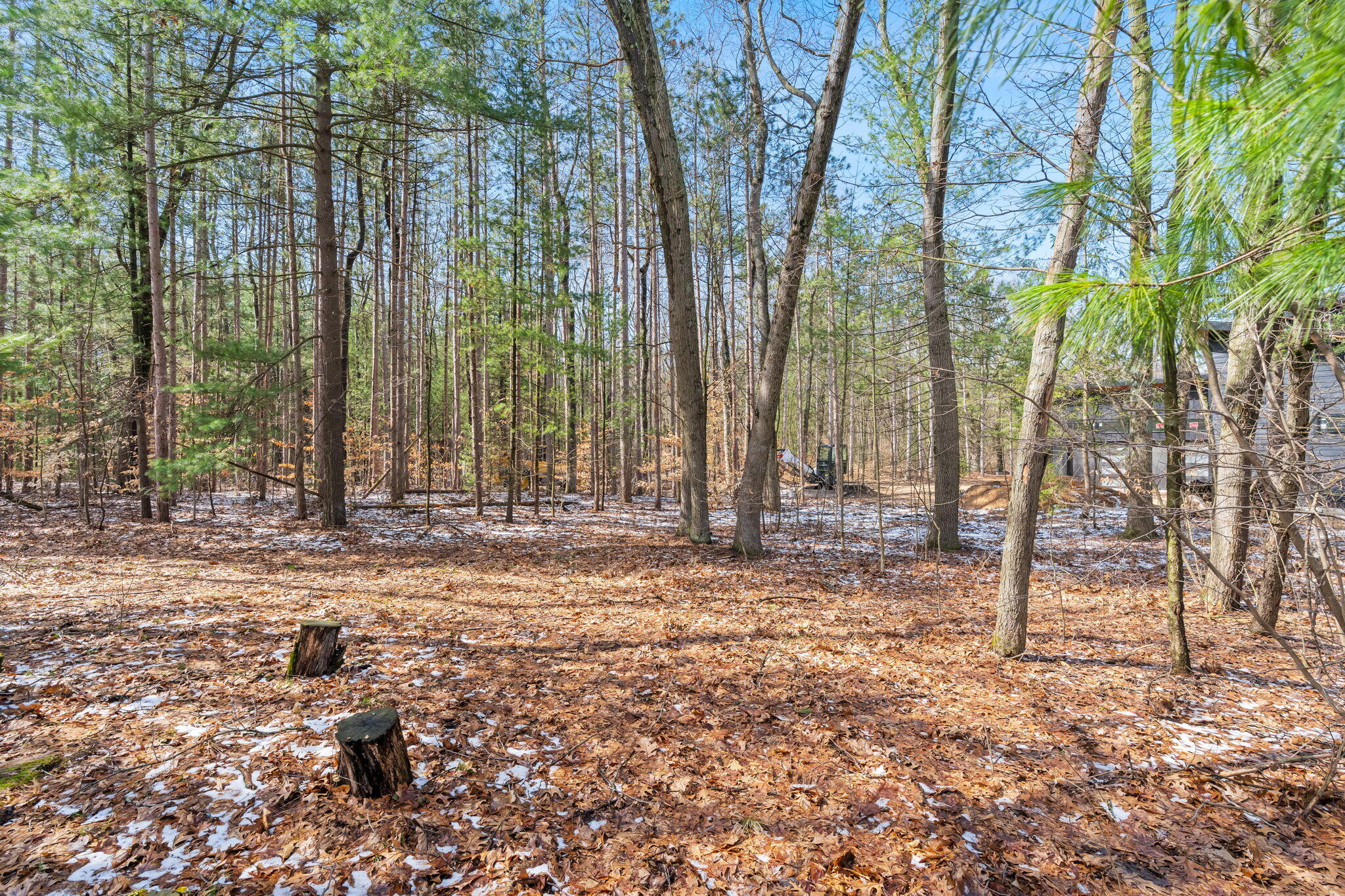 3101 River Bend Trail