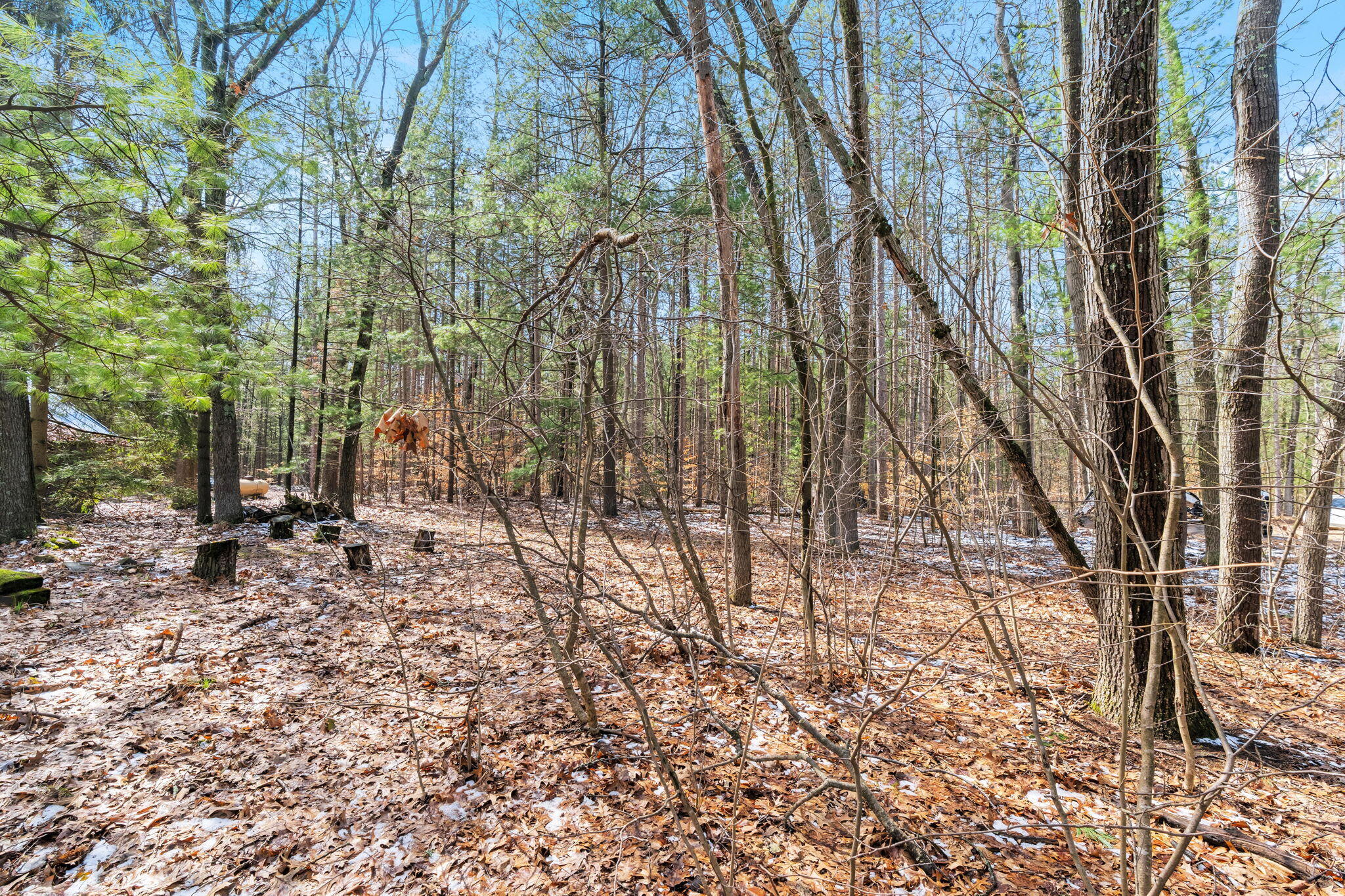 3101 River Bend Trail