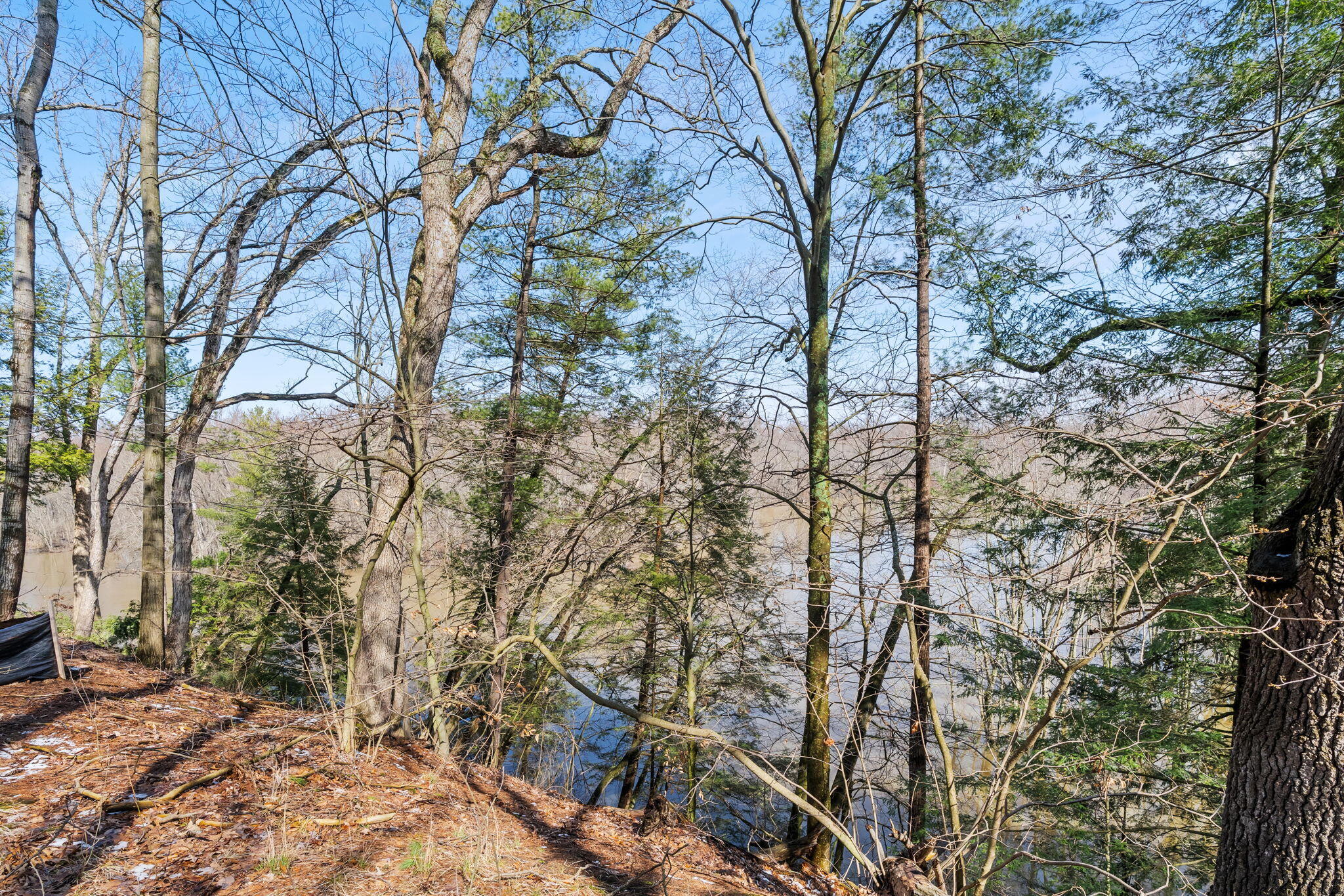 3101 River Bend Trail