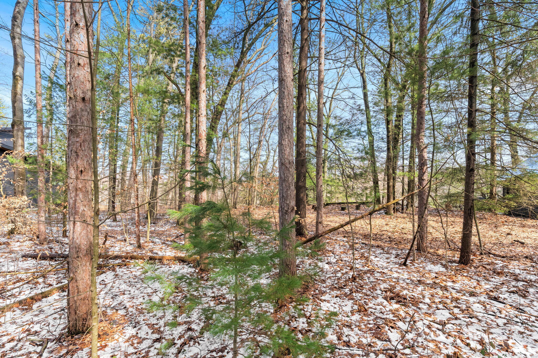 3101 River Bend Trail
