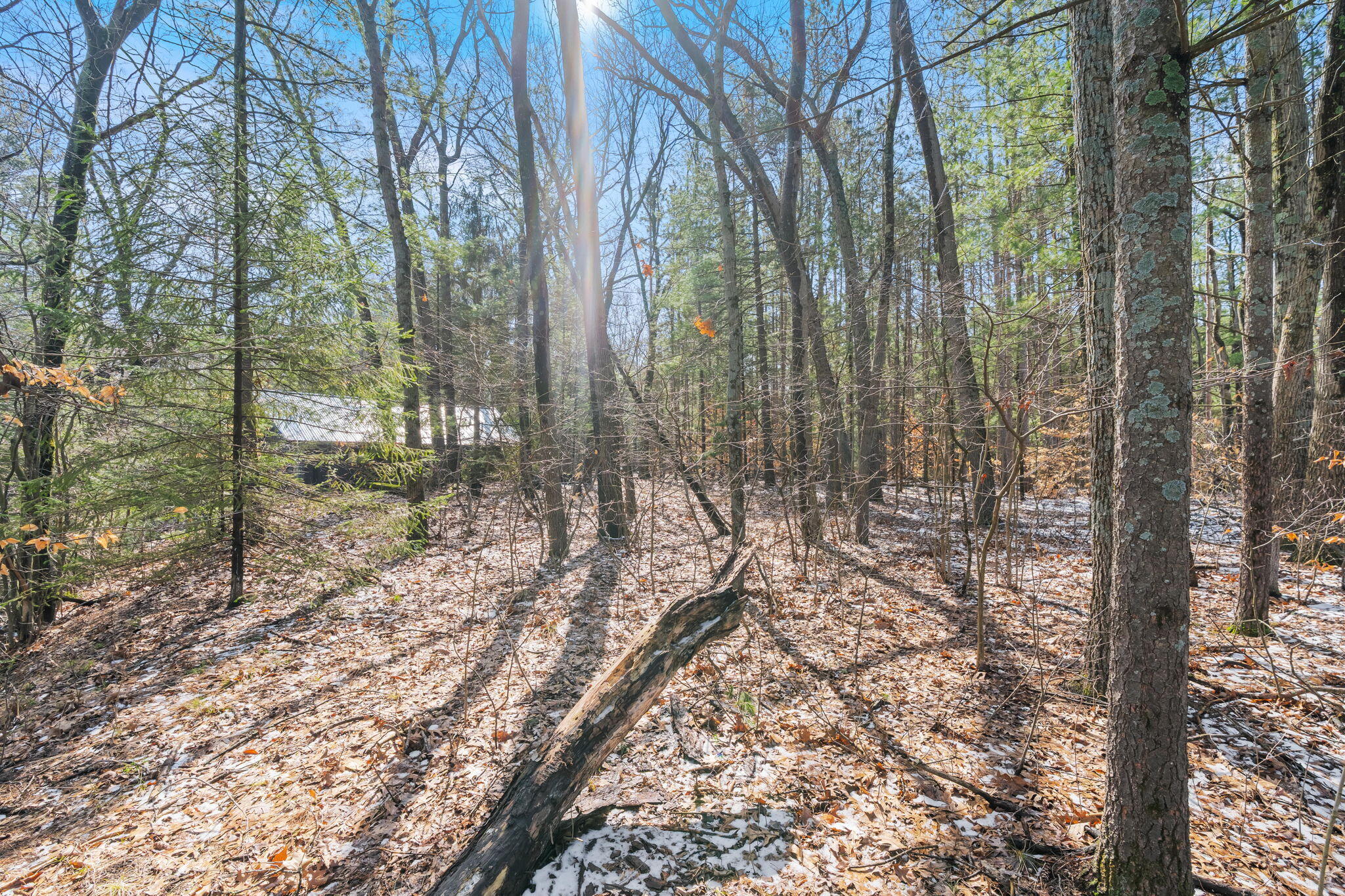 3101 River Bend Trail