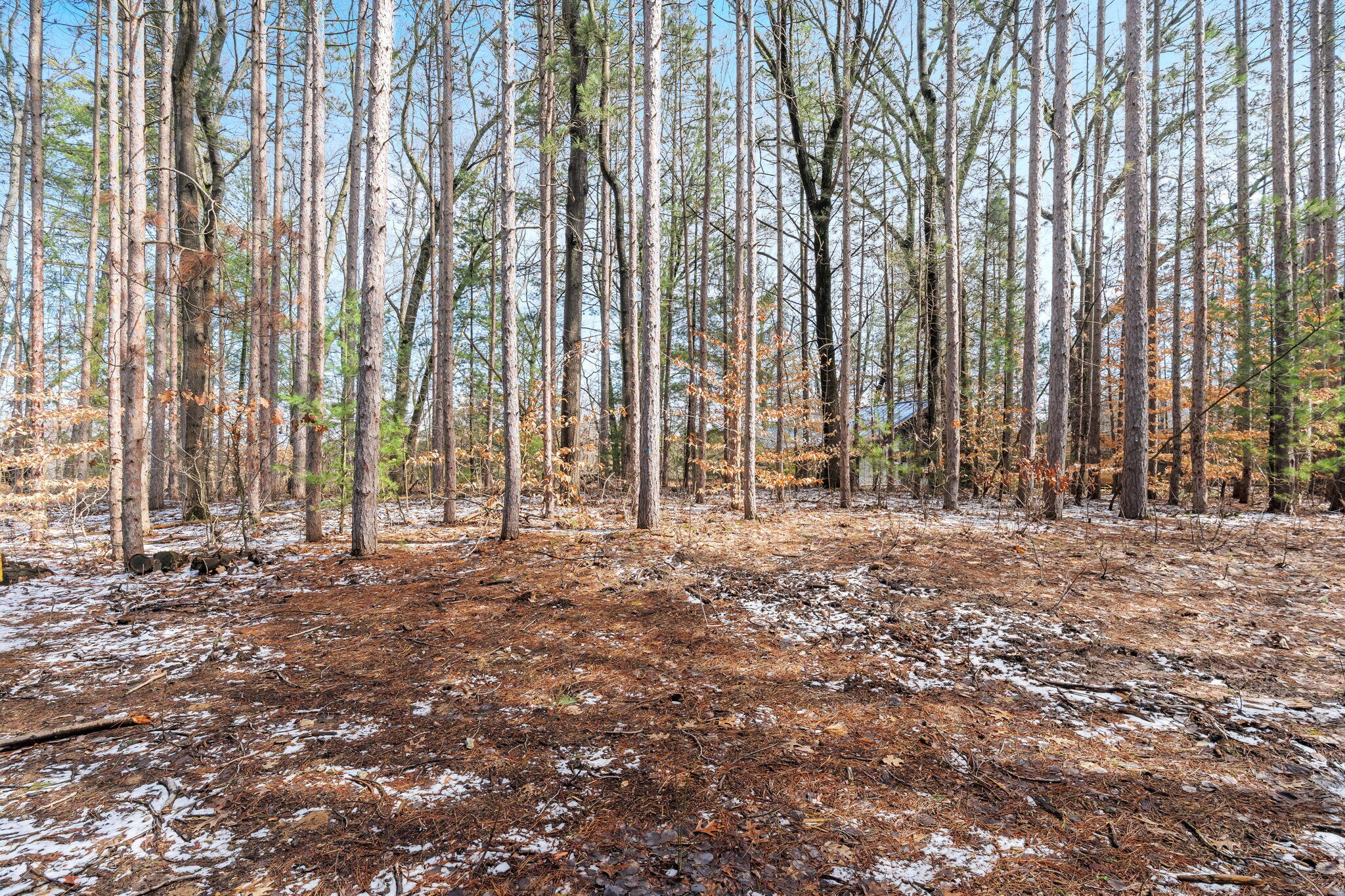 3101 River Bend Trail