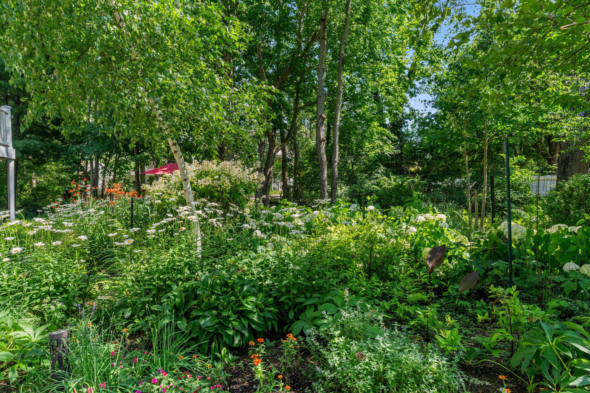 6806 Wiley Road