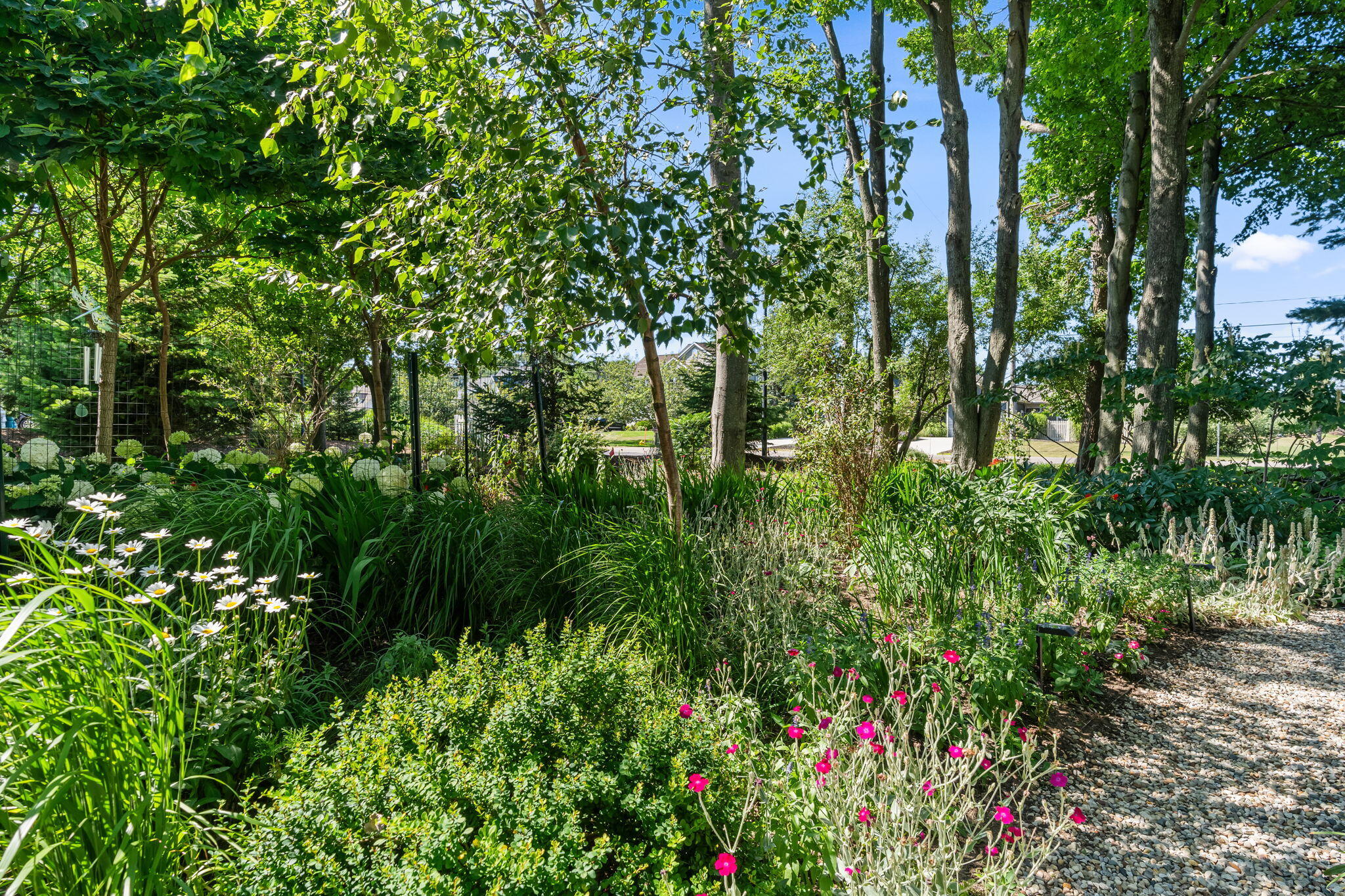 6806 Wiley Road