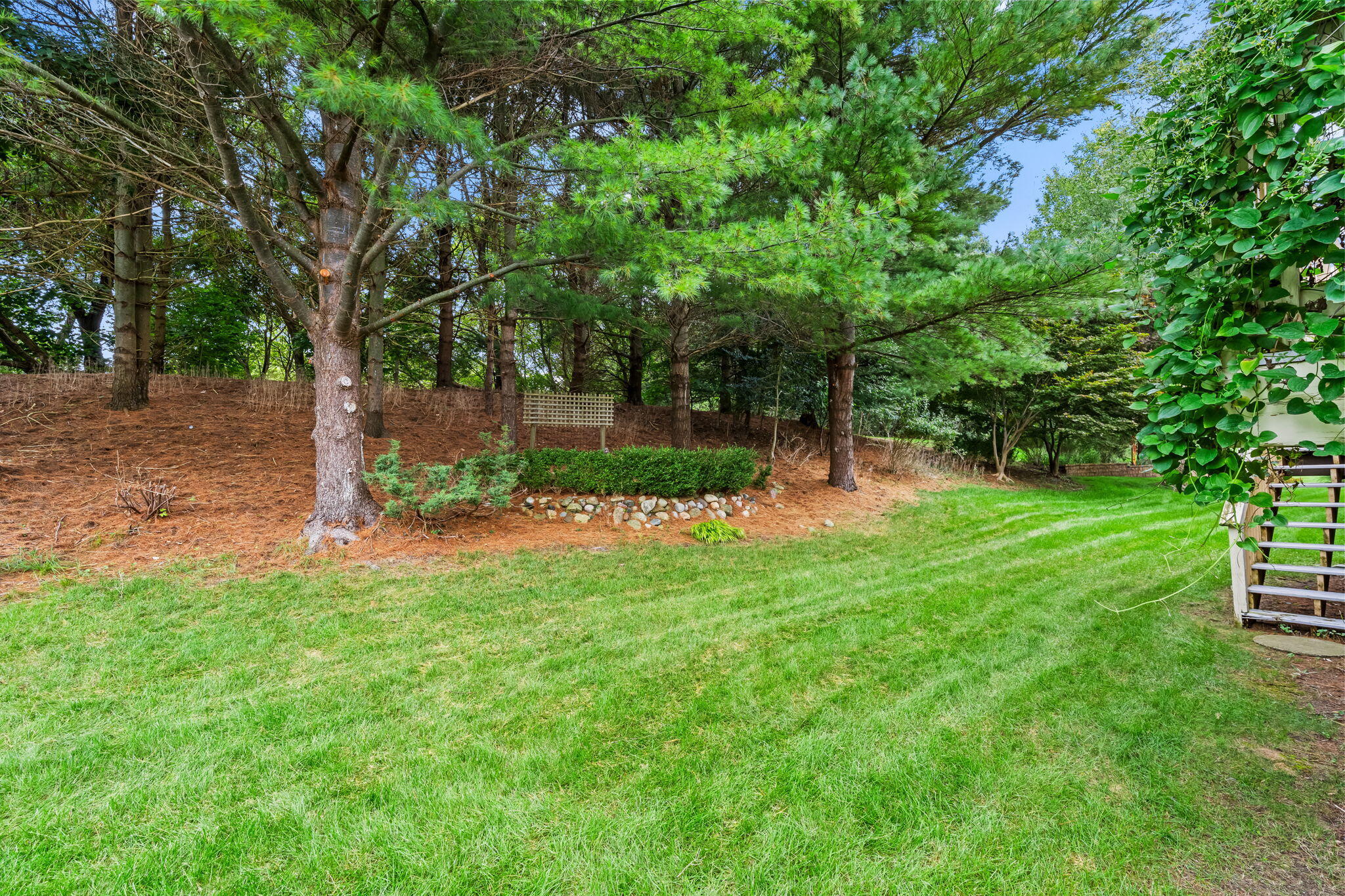 458 Amity Street 24