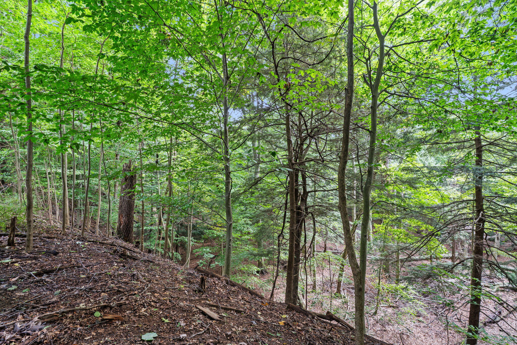 VL 70th Street 70th (Lakeshore Drive)