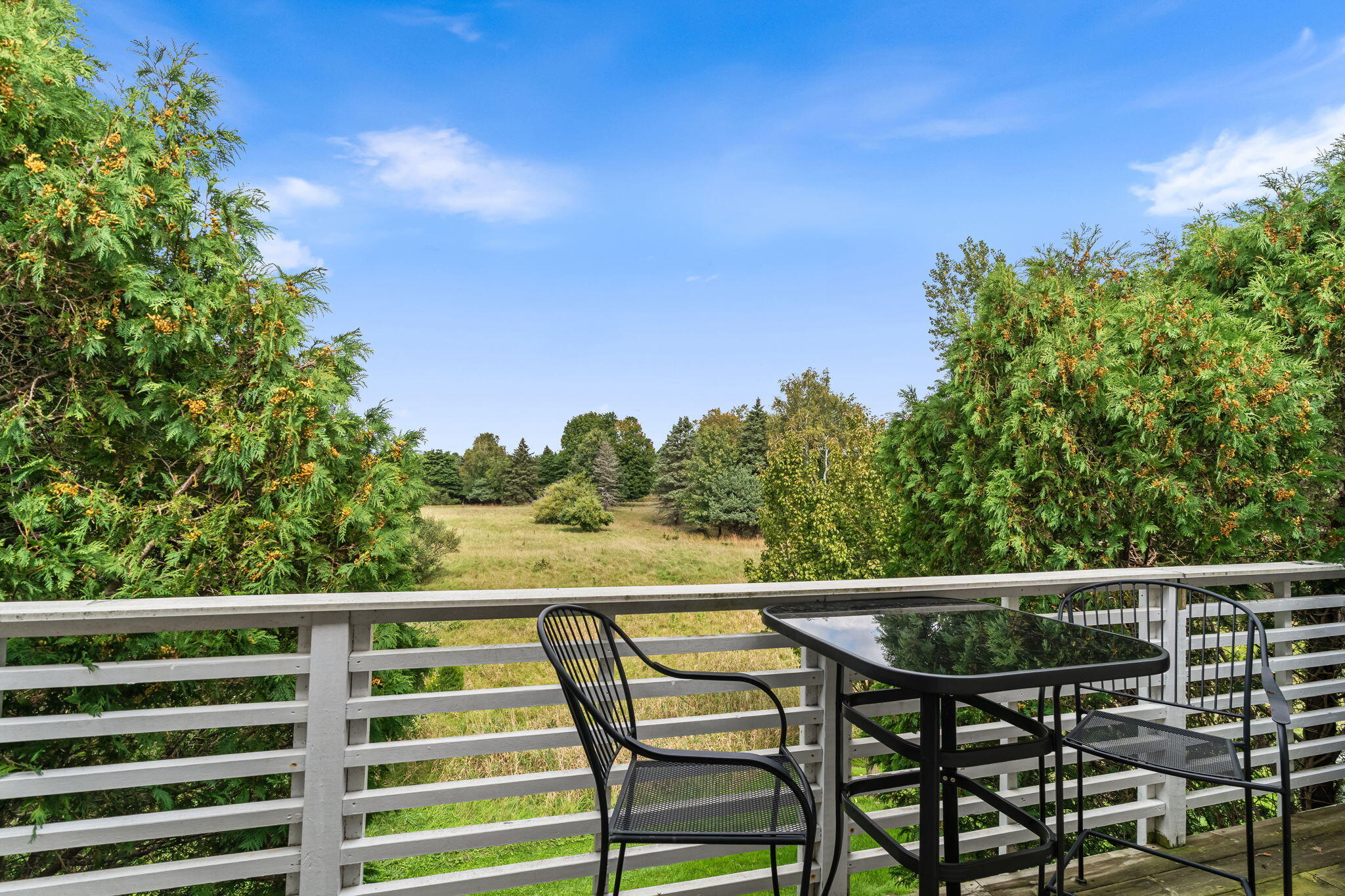 Deck with black metal patio furniture overlooking a grassy meadow and trees.
