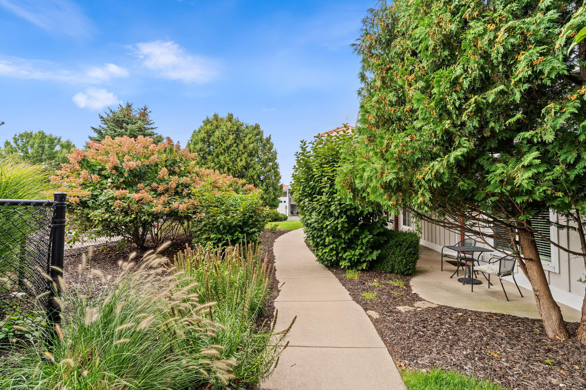 Concrete walkway beside a building, bordered by flowering shrubs and ornamental grasses with patio seating under an evergreen.