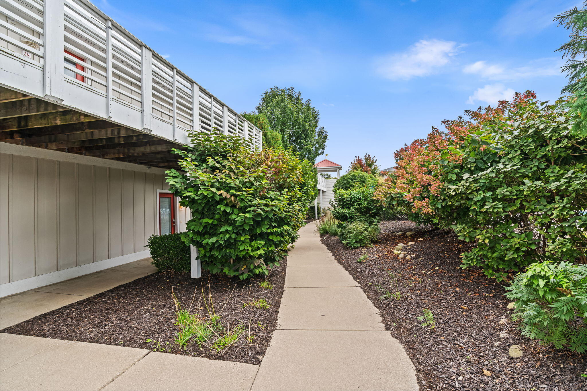 Landscaped concrete walkway beside a residential building, beneath a white-railed deck and bordered by dense shrubs.