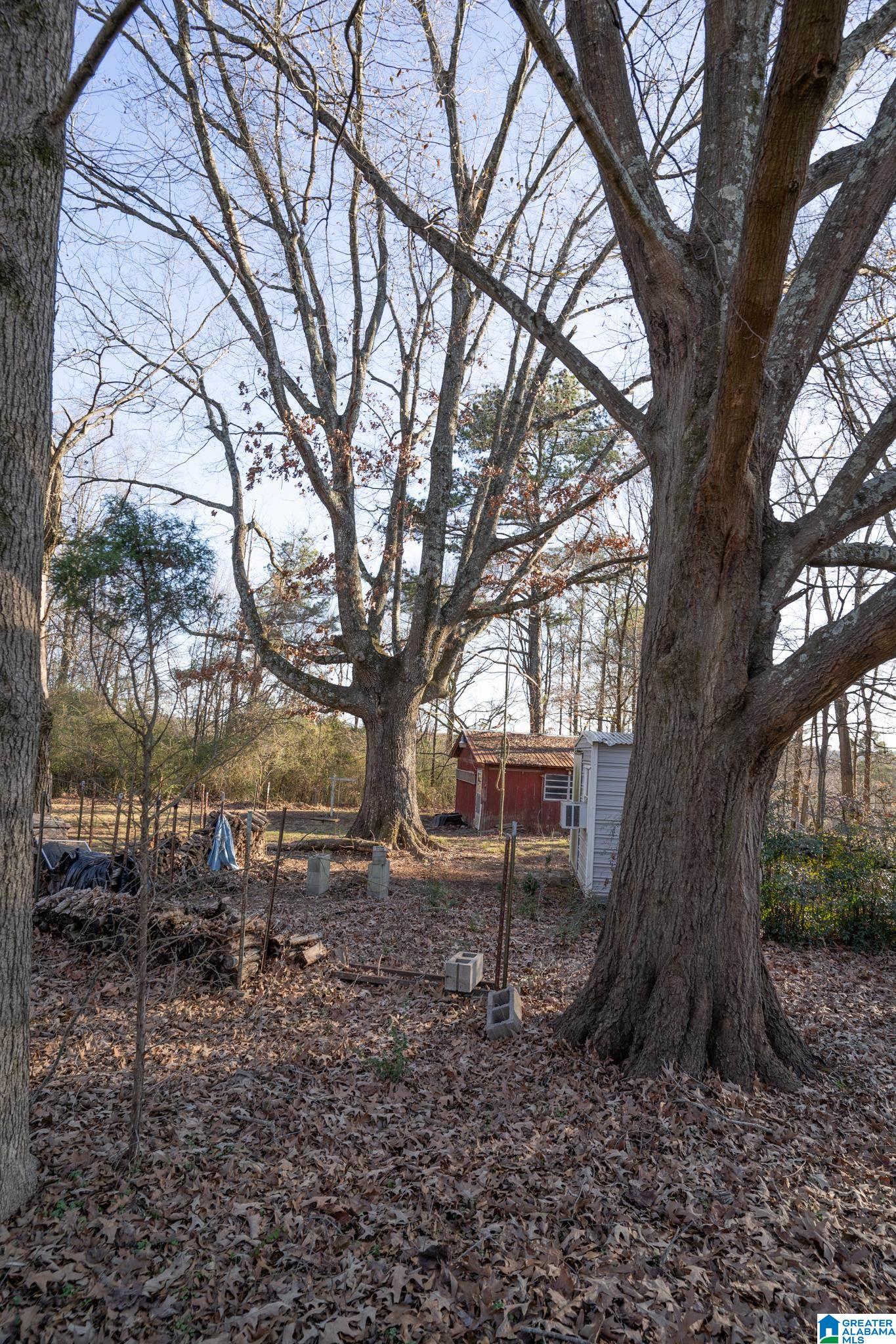 1224 SCHOOL ROAD SE