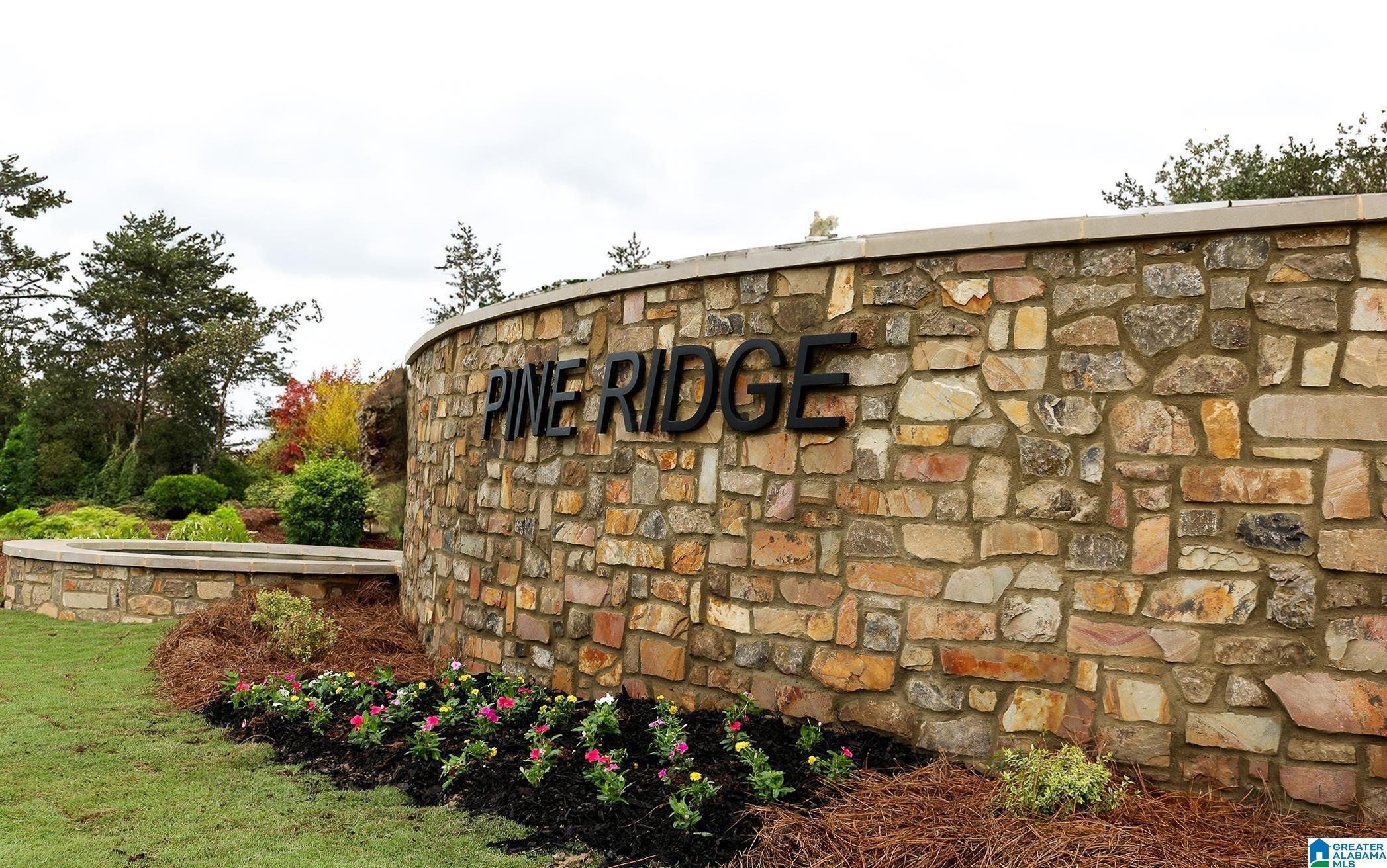 410 PINE RIDGE DRIVE