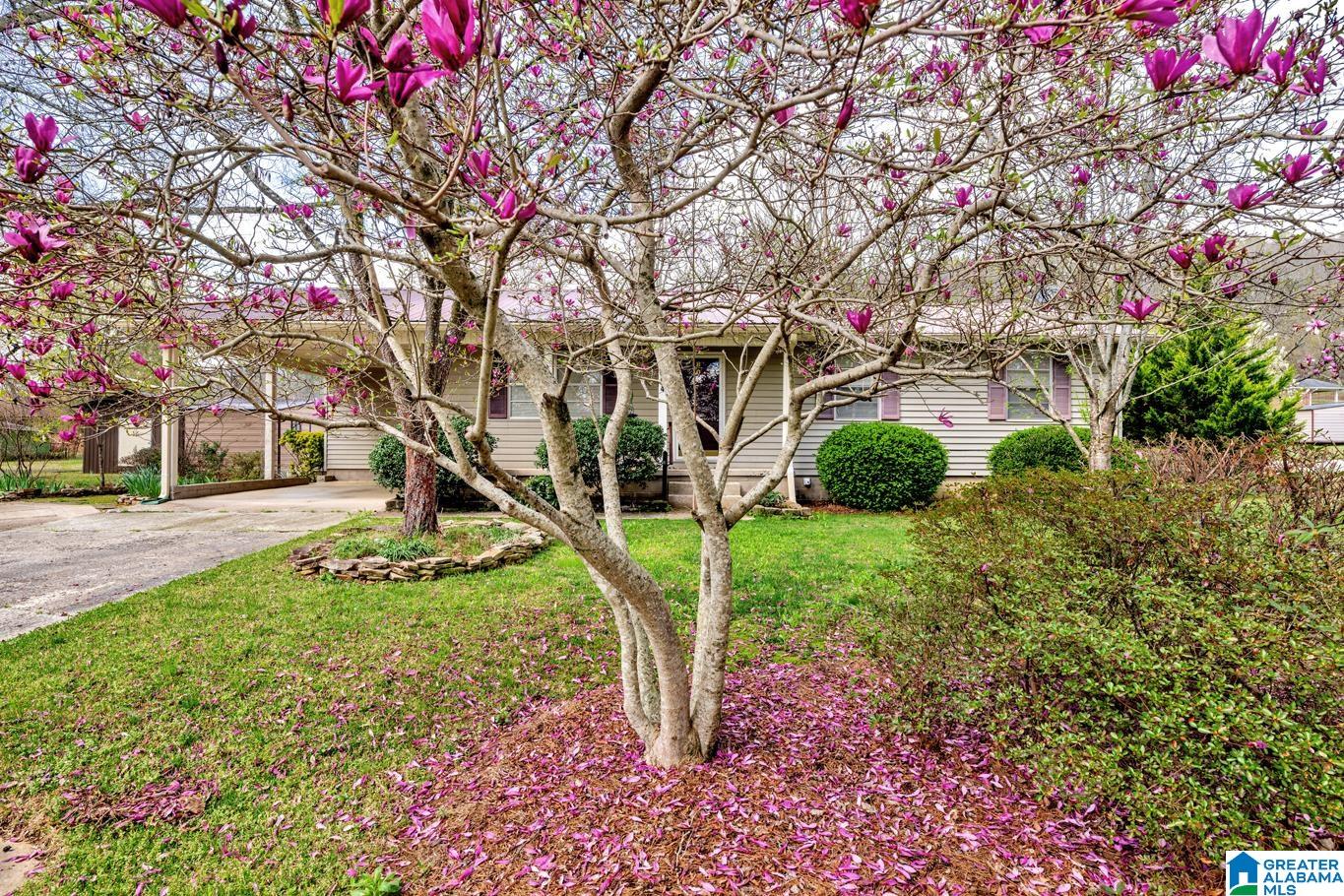 804 COTTON AVENUE
