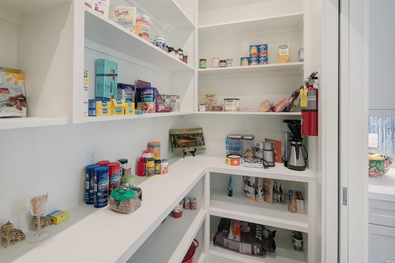 2005 Bristlecone Court