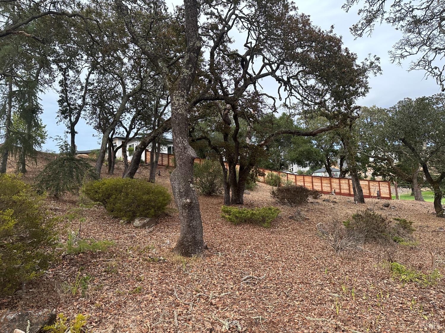 3703 Llyn Glaslyn Pl