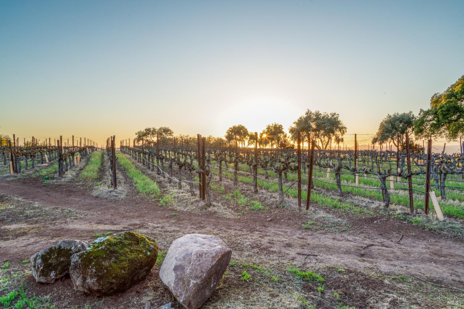 1960 Redwood Hill Court