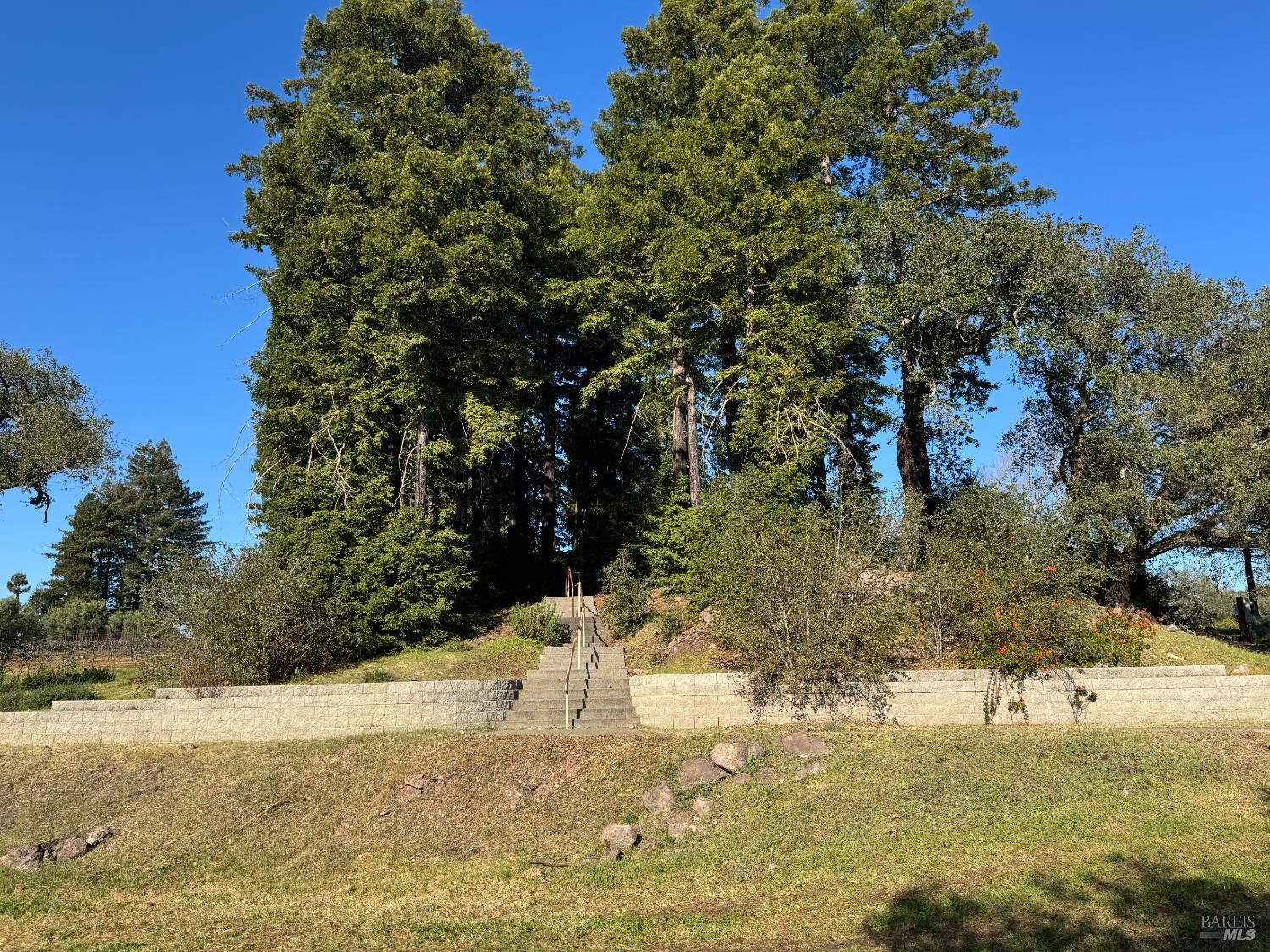 1960 Redwood Hill Court