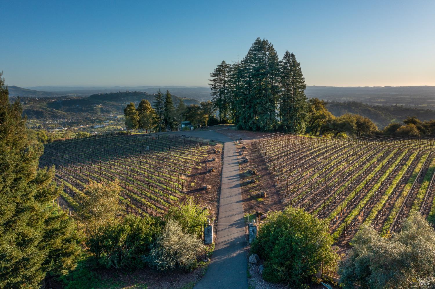 1960 Redwood Hill Court