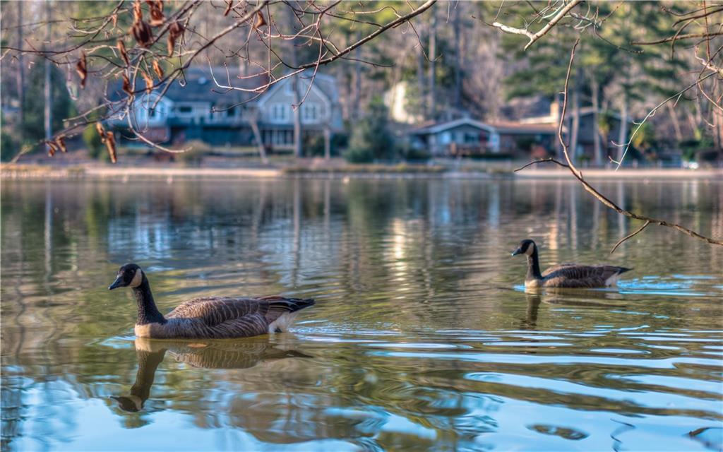 735 Waterbrook Terrace